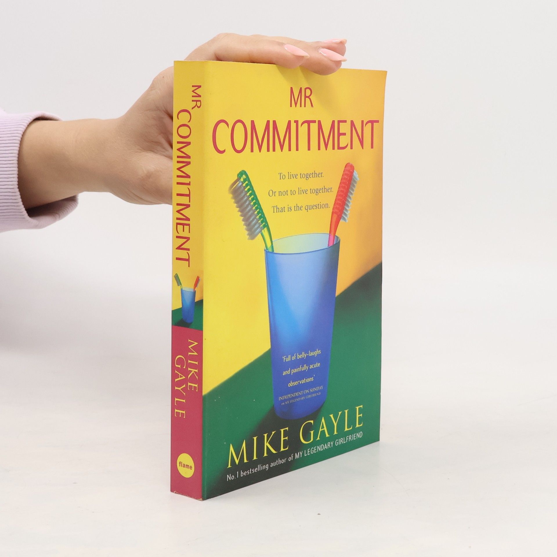 Mike Gayle Mr Commitment