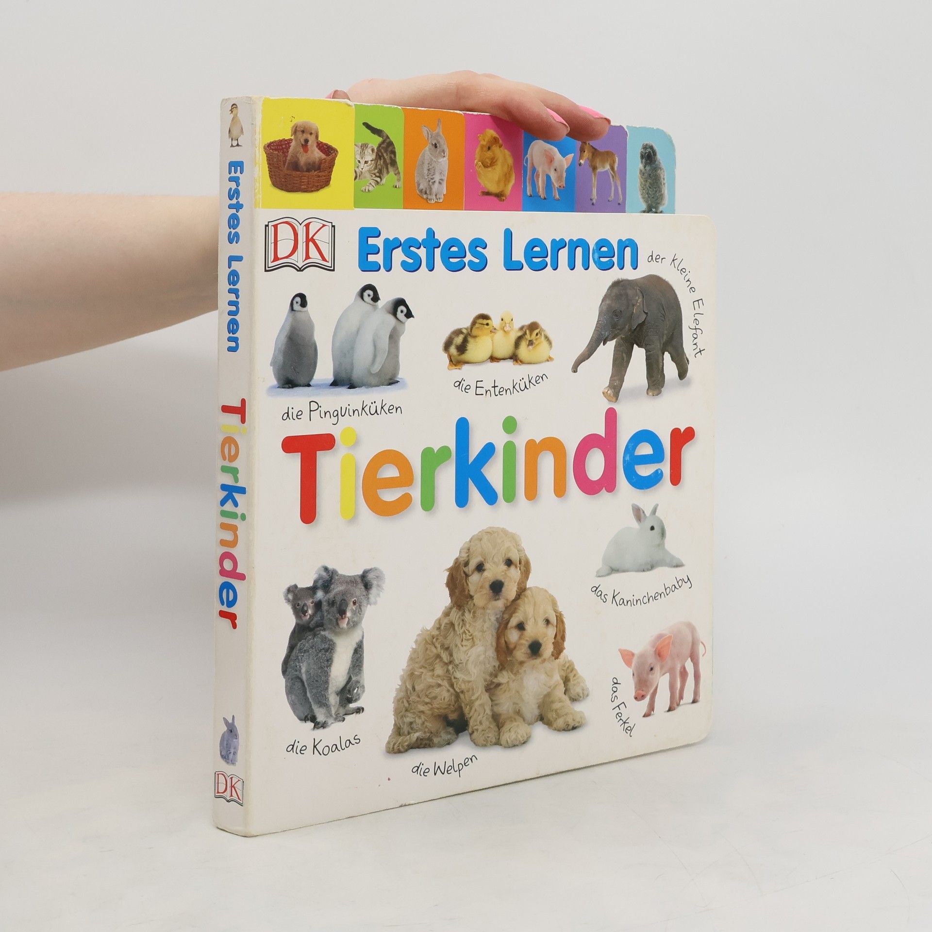 Autorenkollektiv Tierkinder