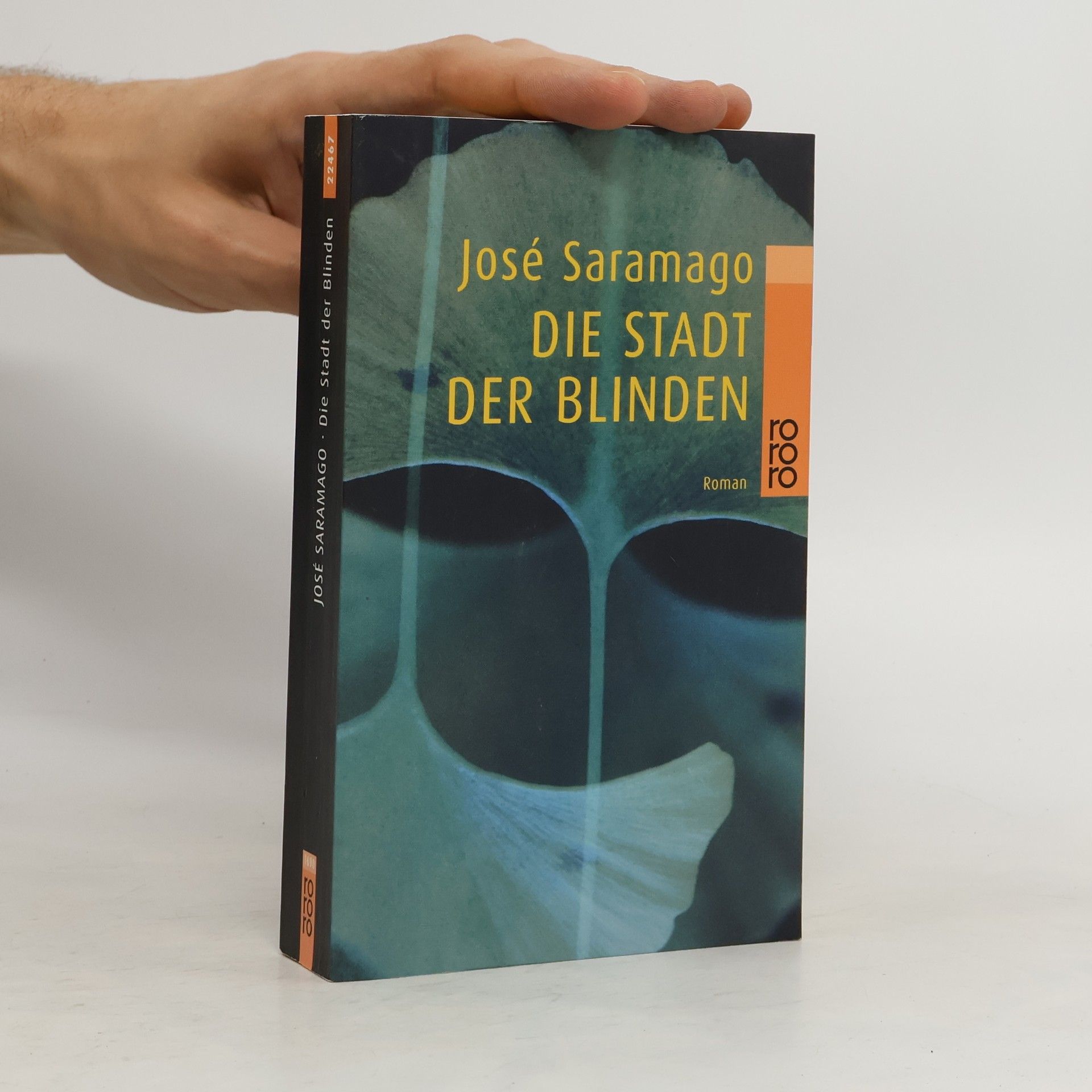 José Saramago Die Stadt der Blinden