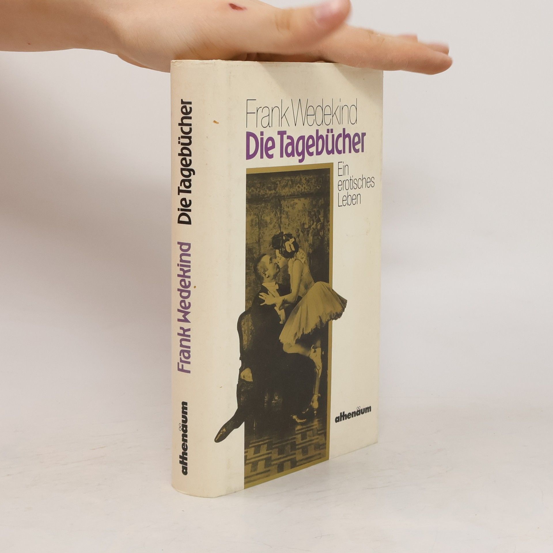 Frank Wedekind Die Tagebücher