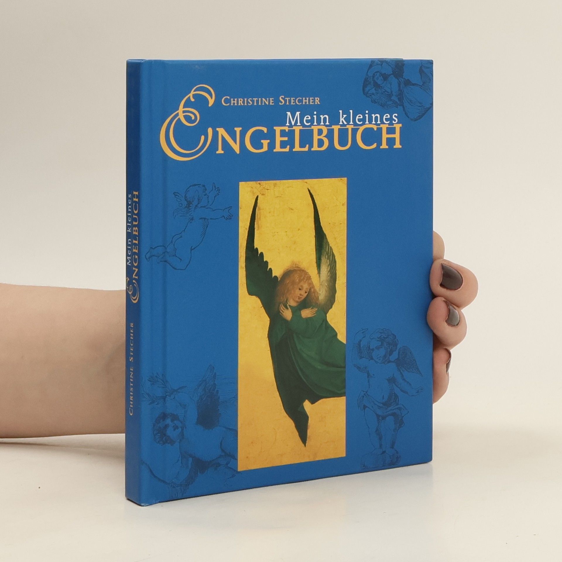 Roland Stecher Mein kleines Engelbuch