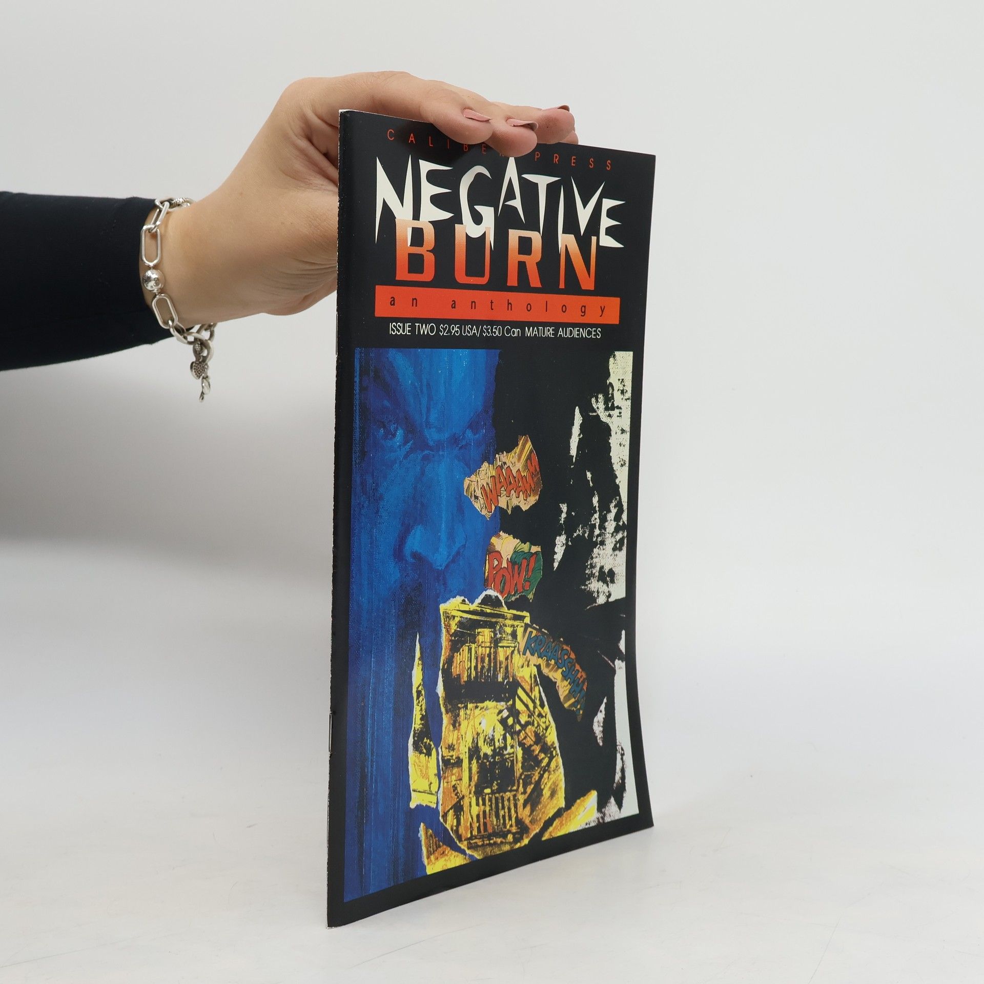 Kolektiv autorů Negative Burn 2