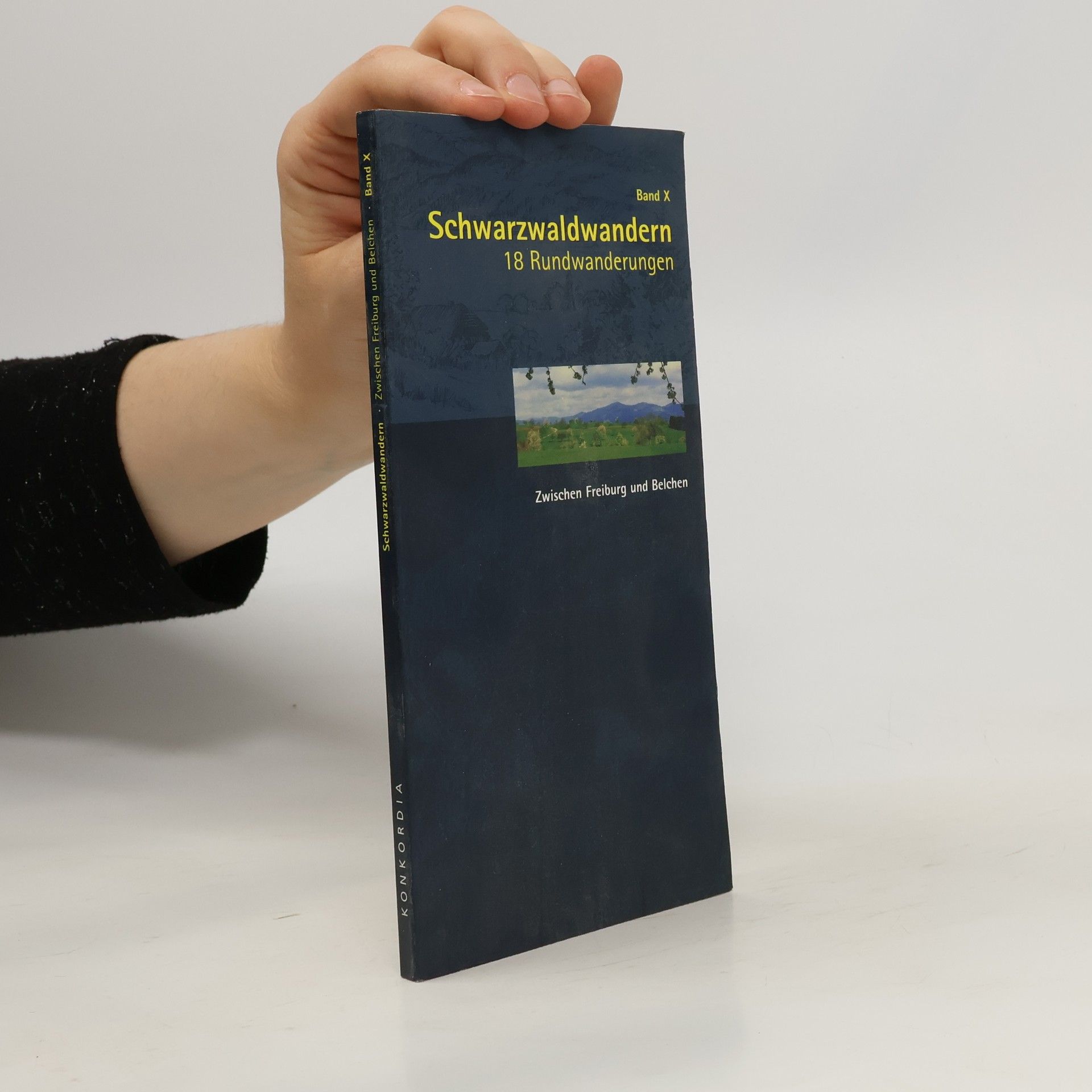 Collectif d'auteurs Schwarzwaldwandern. Band X