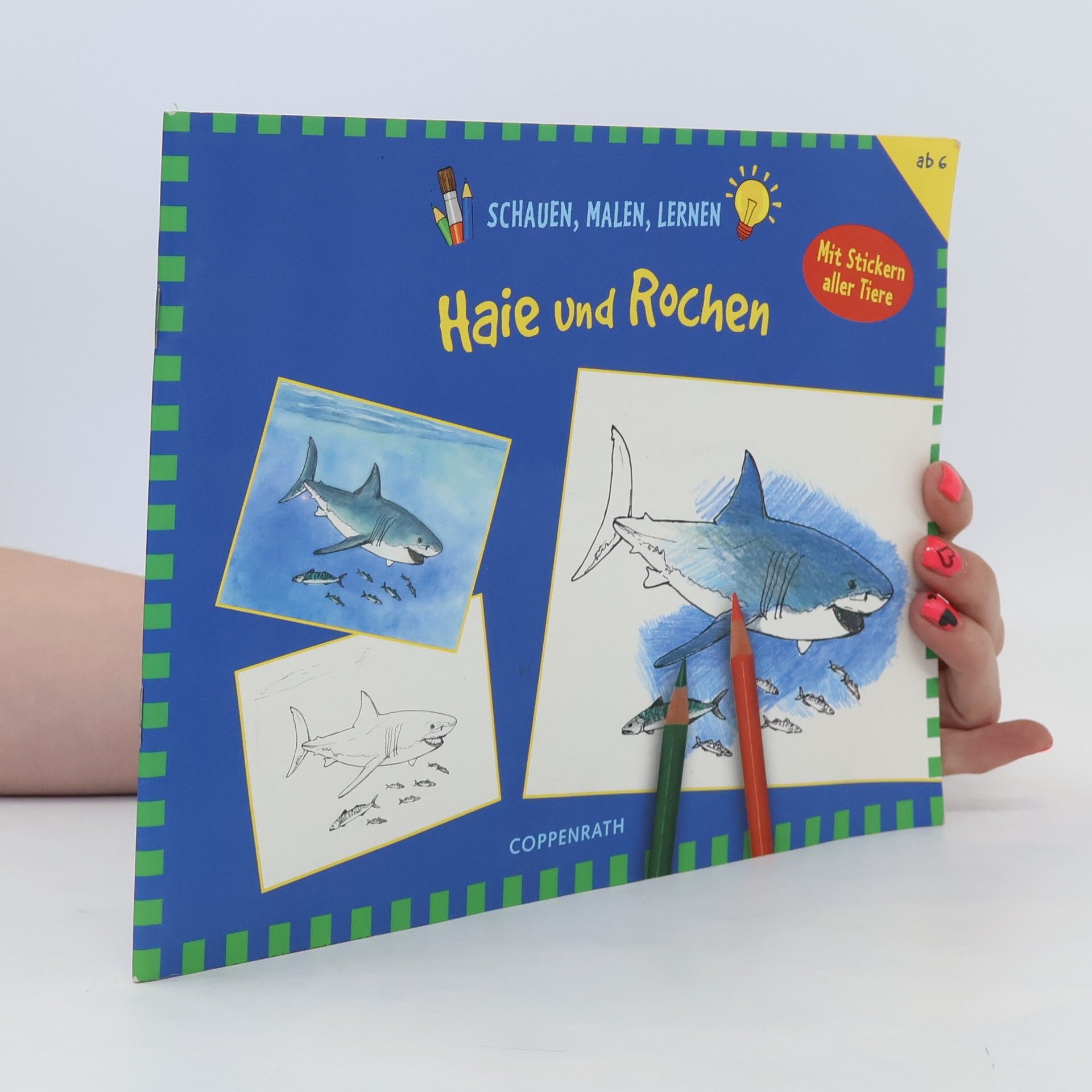 Collective Haie und Rochen
