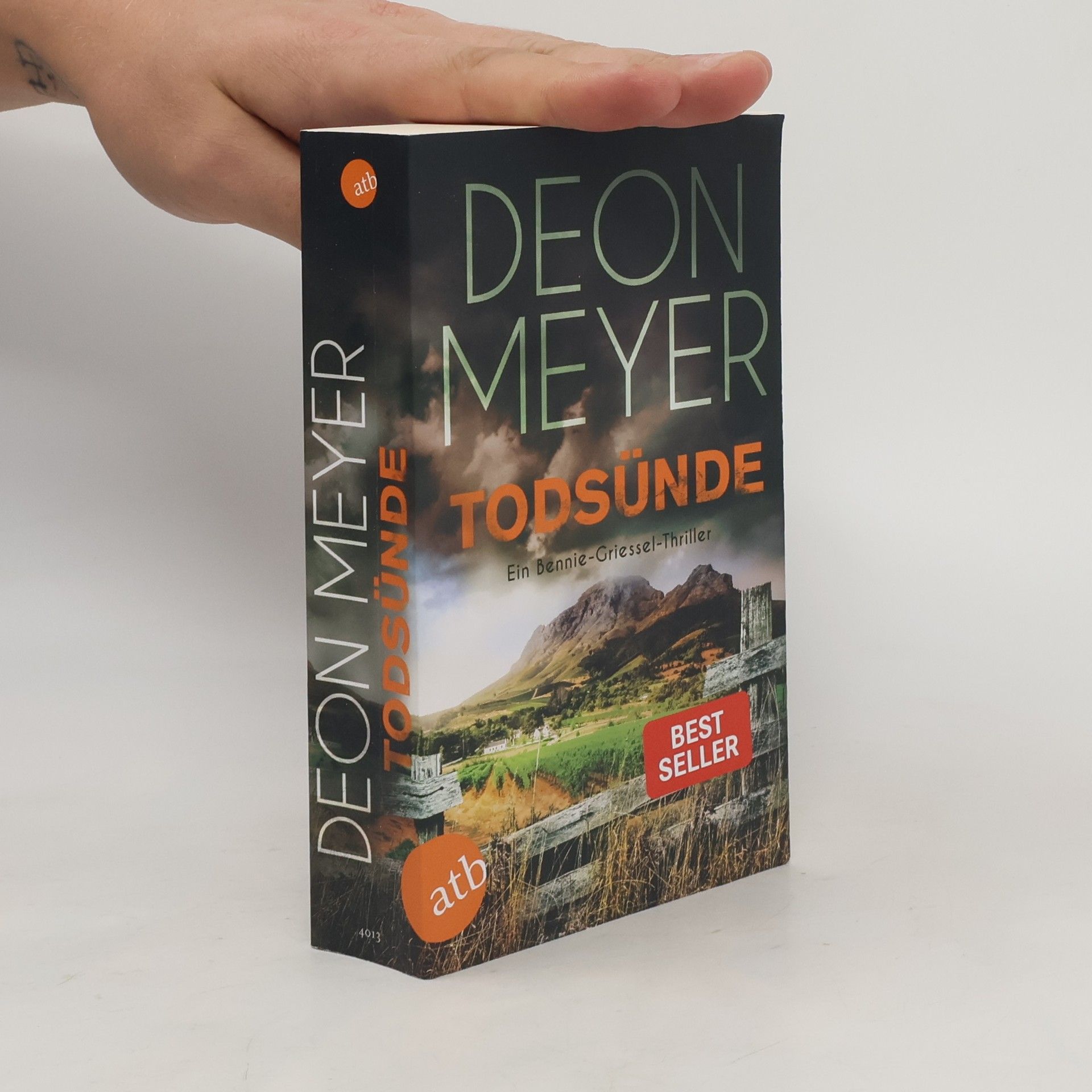 Deon Meyer Todsünde