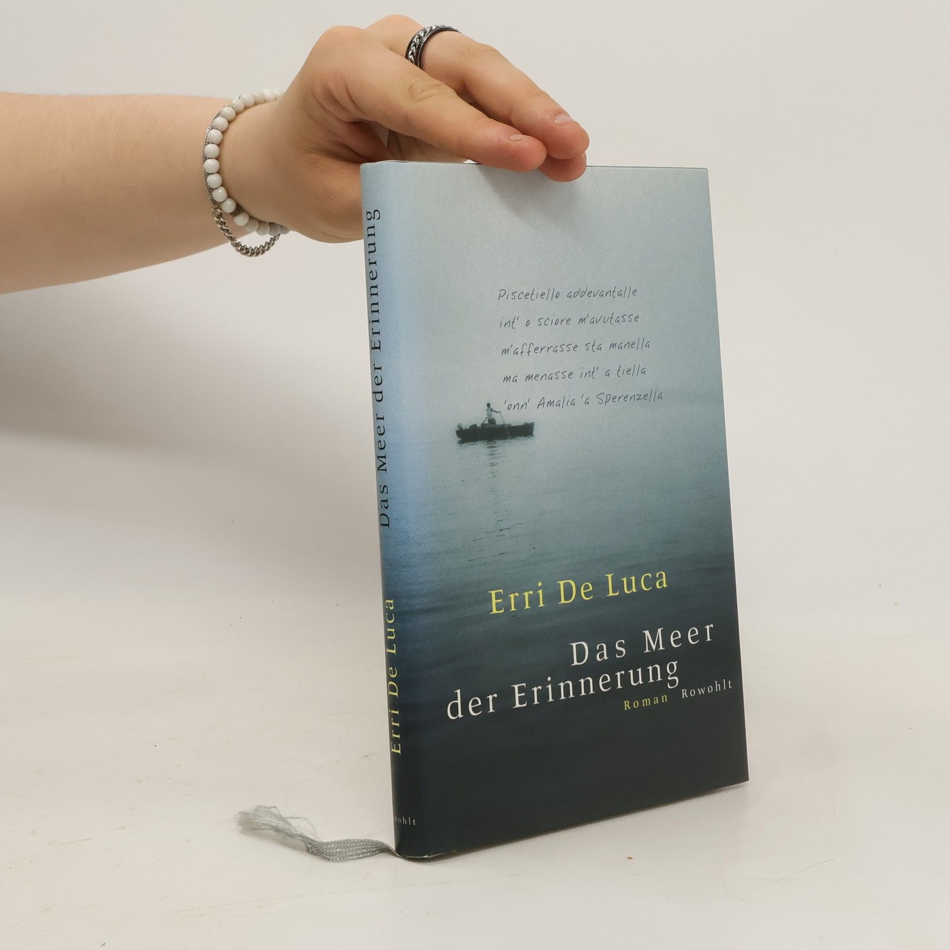Erri De Luca Das Meer der Erinnerung