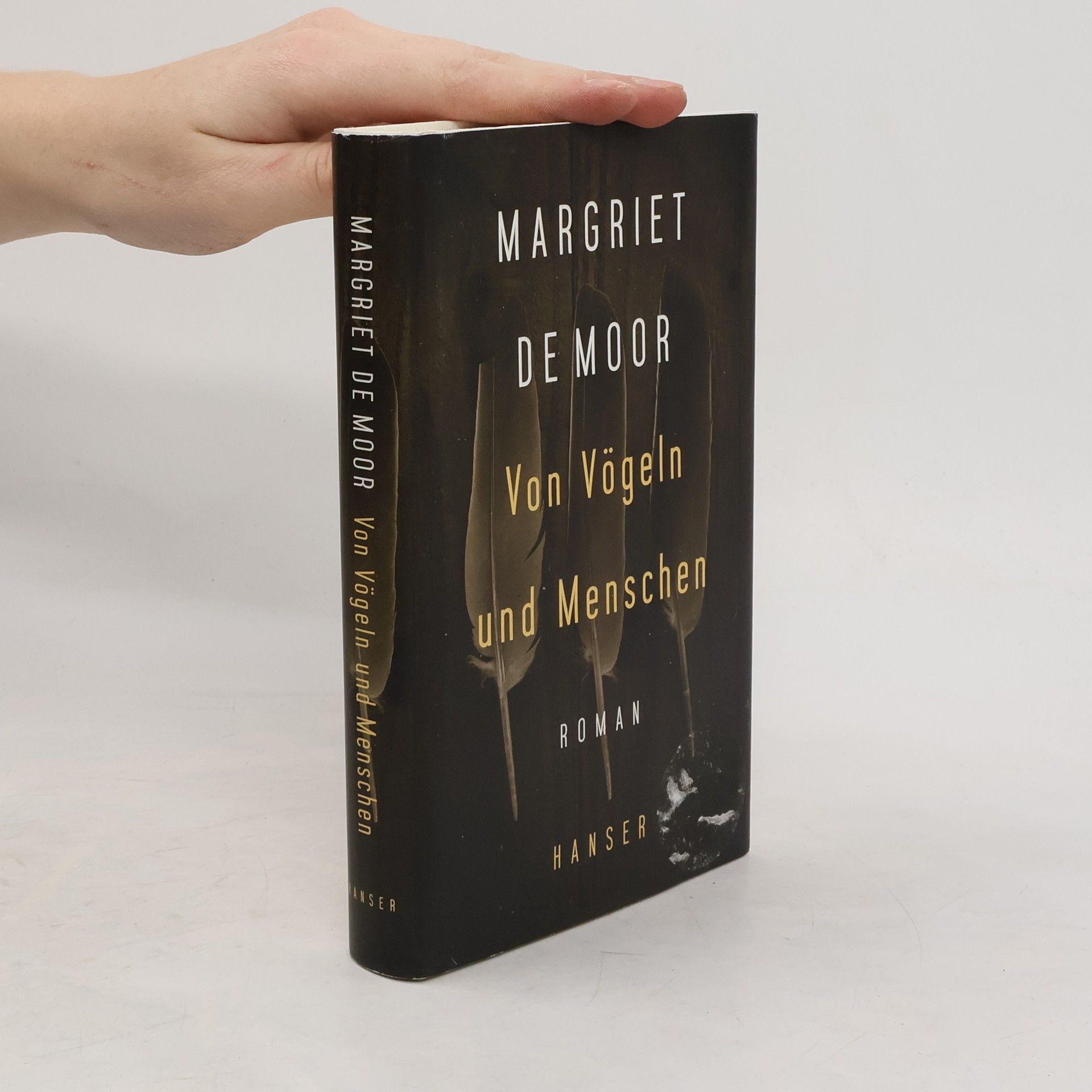 Margriet de Moor Von Vögeln und Menschen