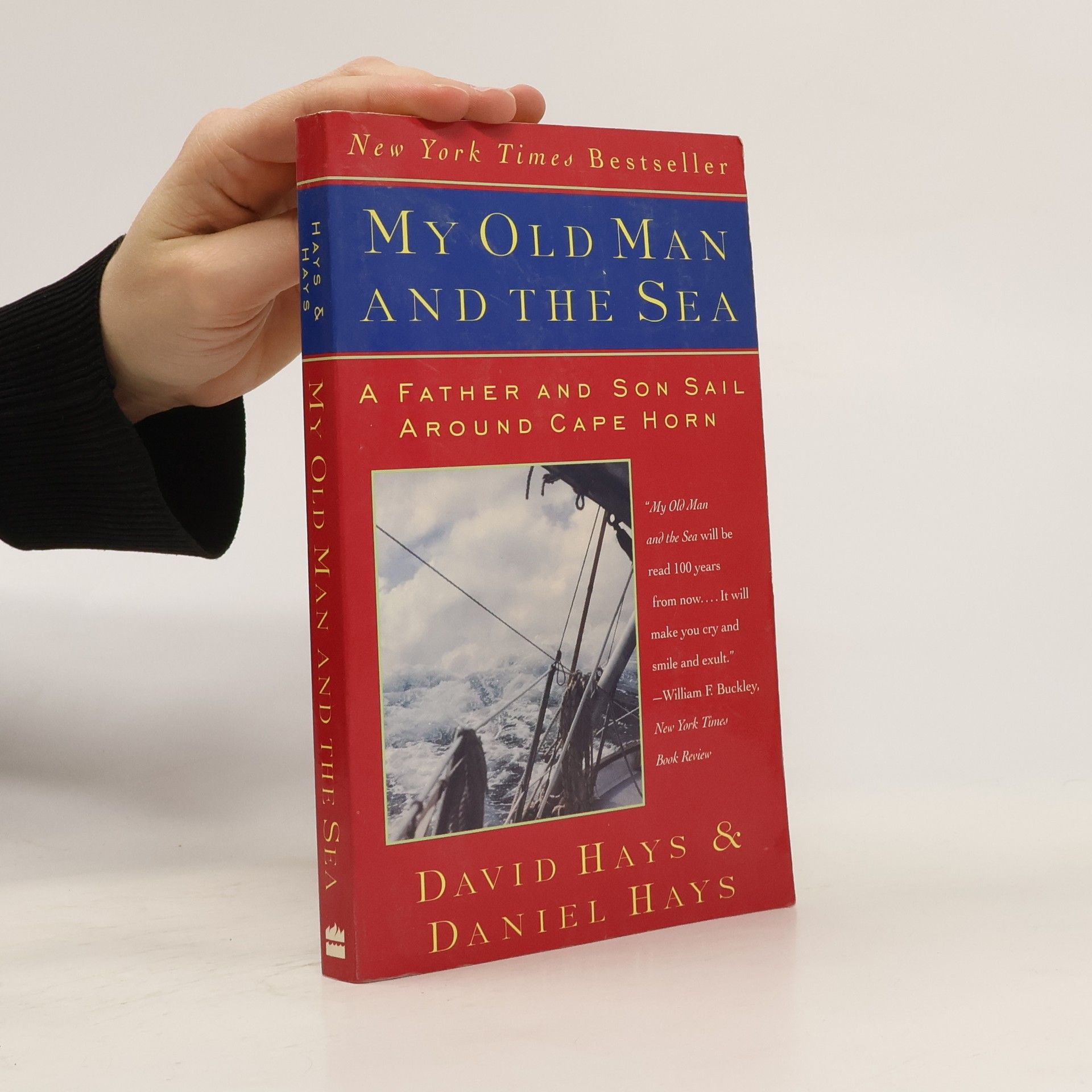 David Hays My Old Man and the Sea