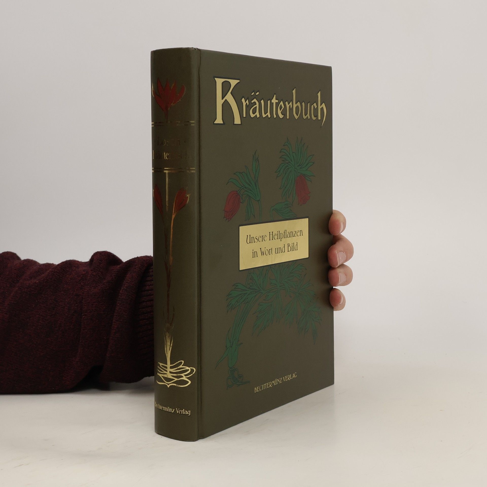 Friedrich Losch Kräuterbuch.