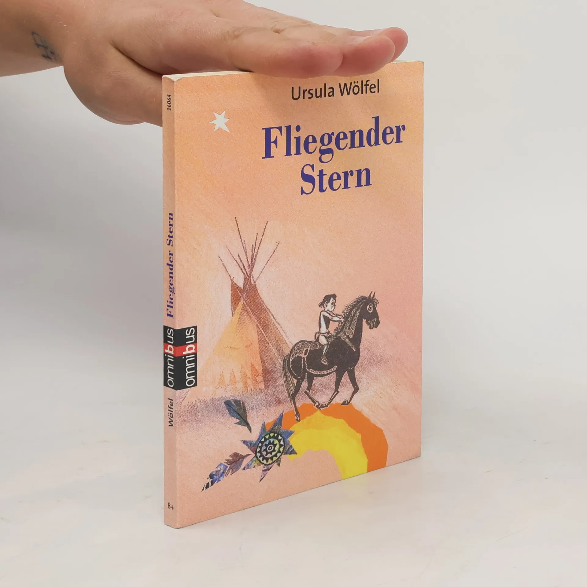 Fliegender Stern | Book | Ursula Wölfel | DE
