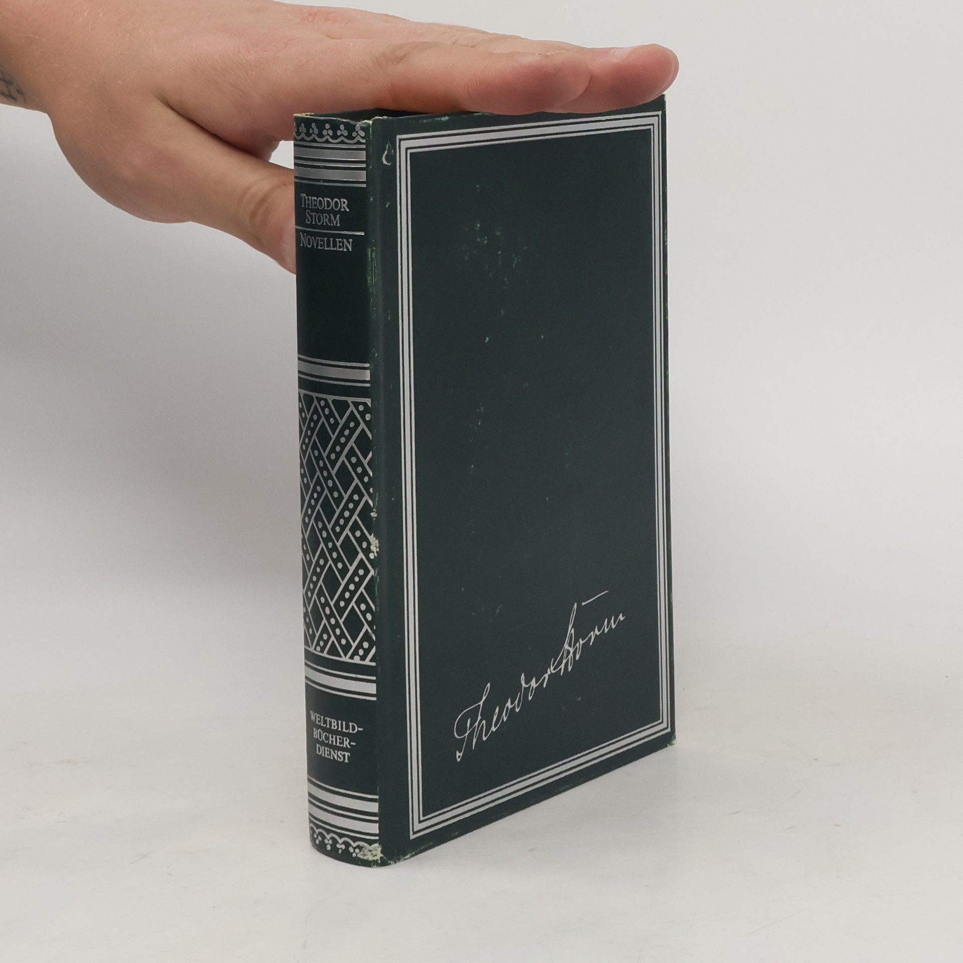 Theodor Strom Novellen