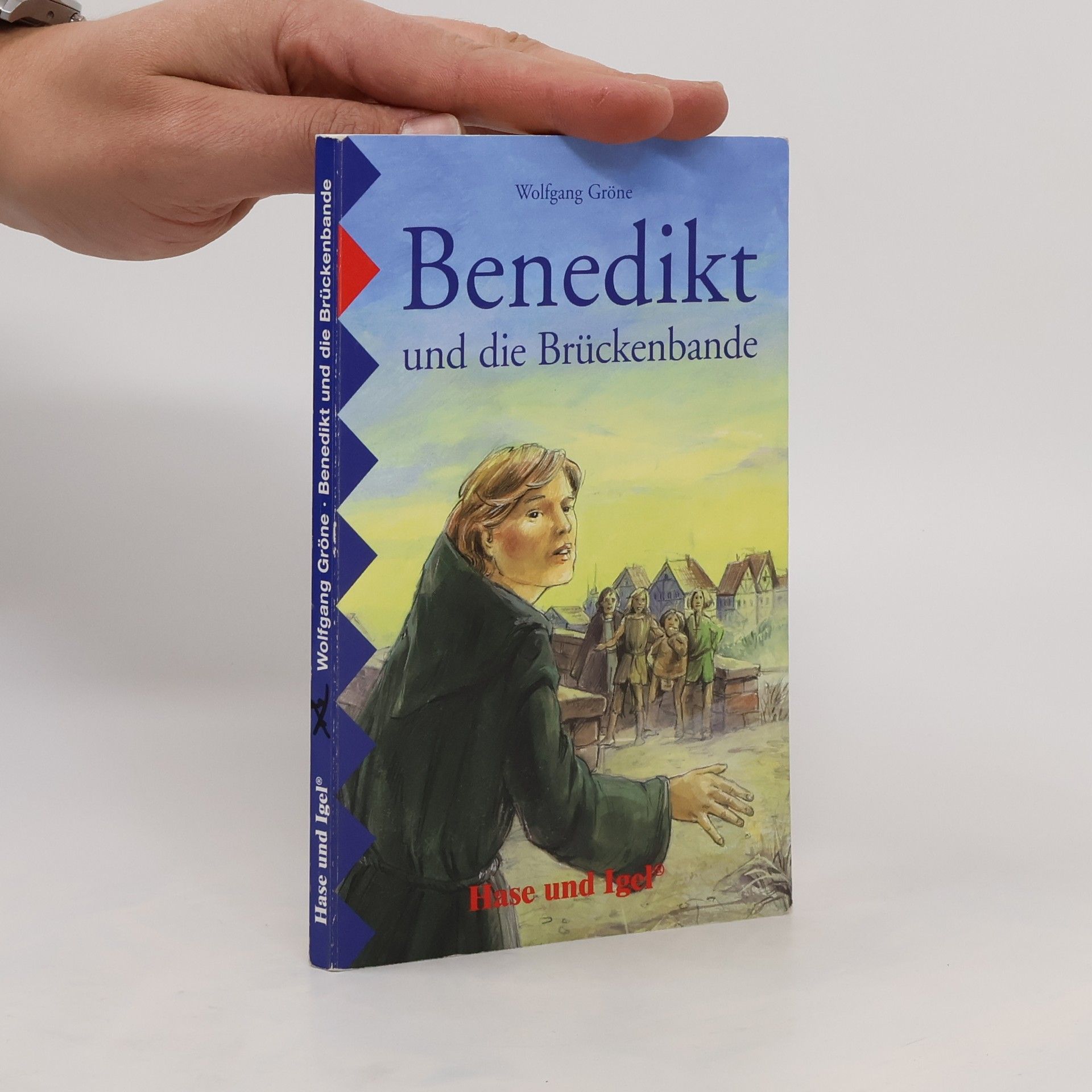 Wolfgang Gröne Benedikt und die Brückenbande, Schulausgabe