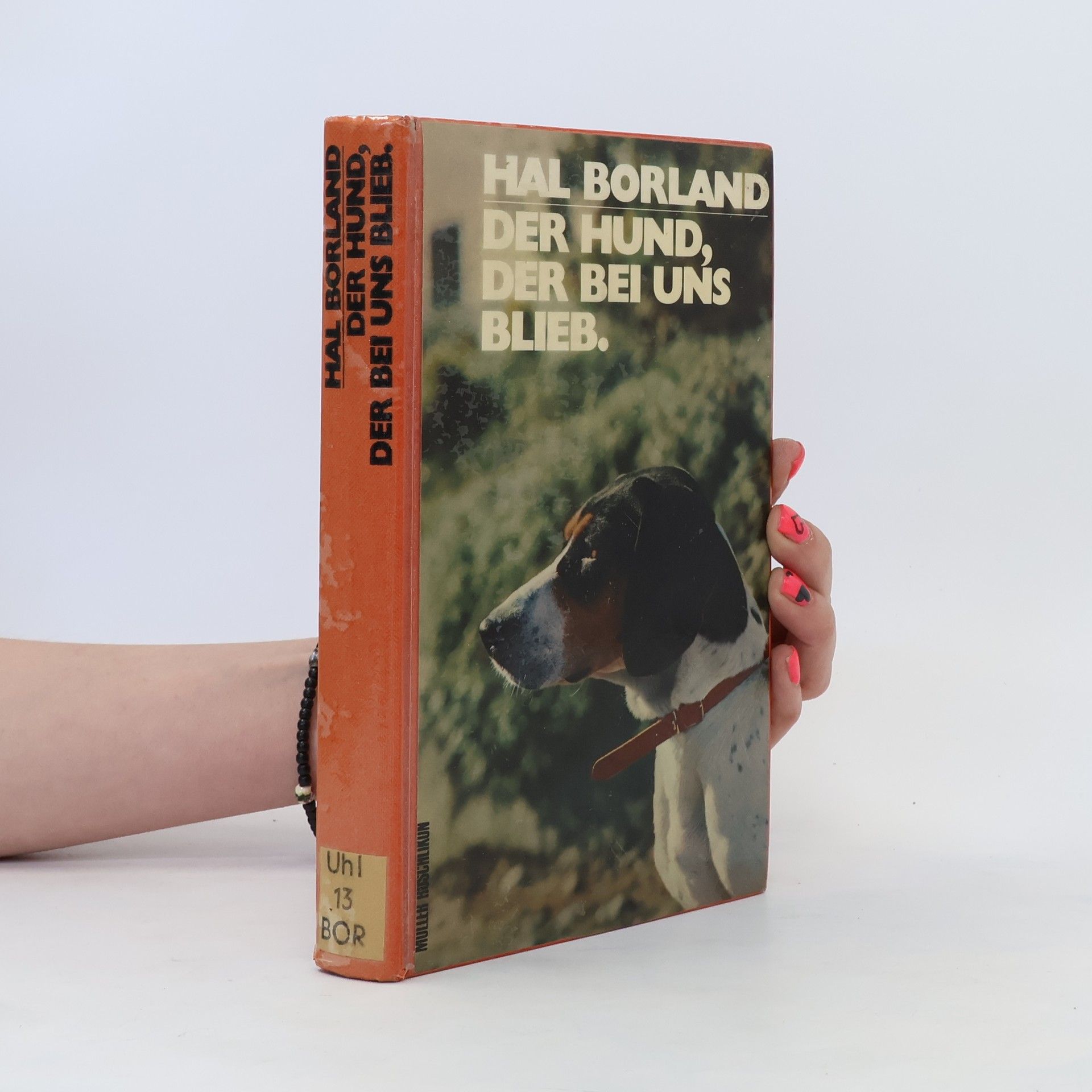Hal Borland Der Hund, der bei uns blieb
