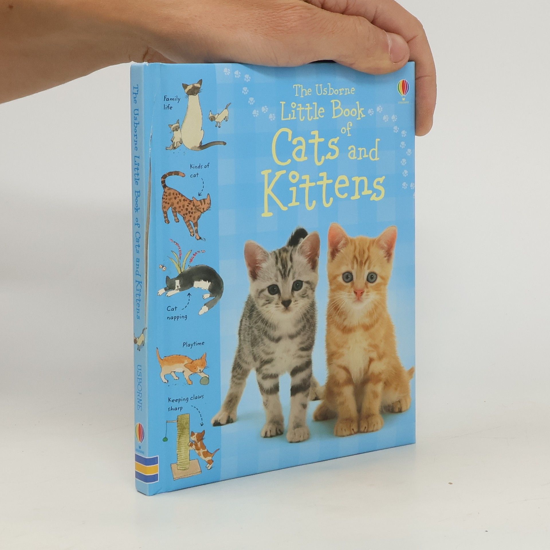 Sarah Khan The Usborne little book of cats and kittens