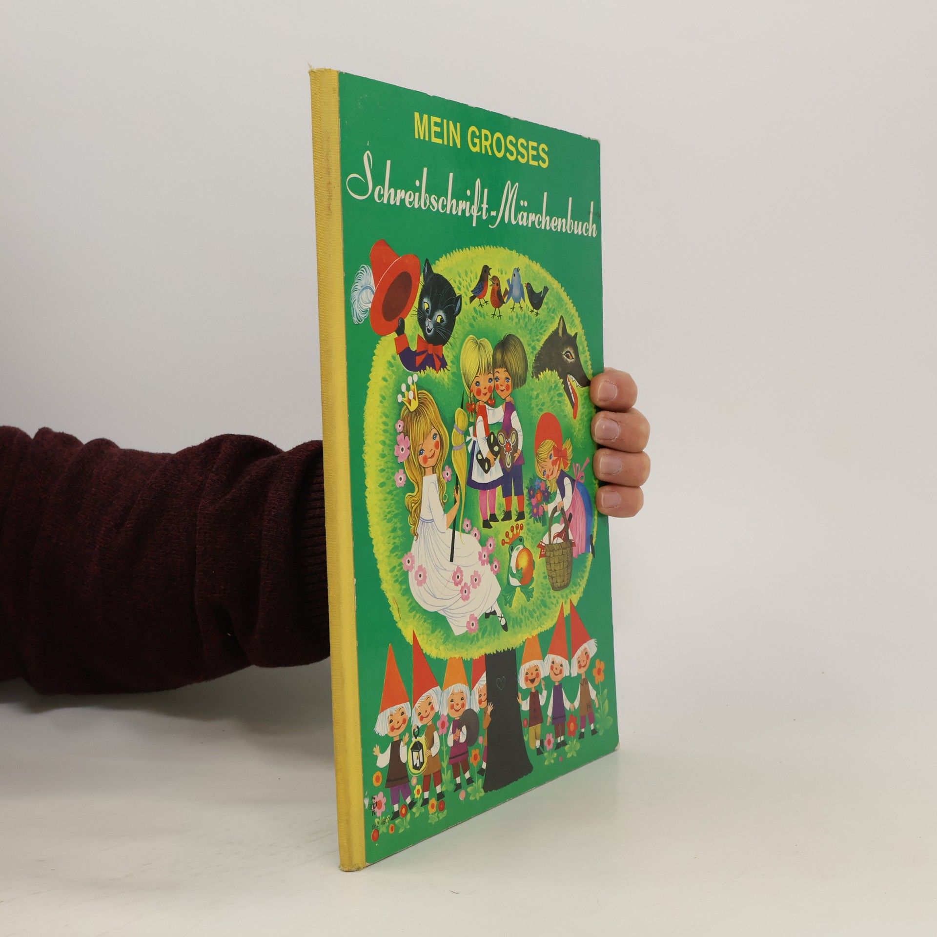 Jacob Ludwig Karl Grimm Mein Grosses Schreibschrift-Märchenbuch: Grimms Märchen