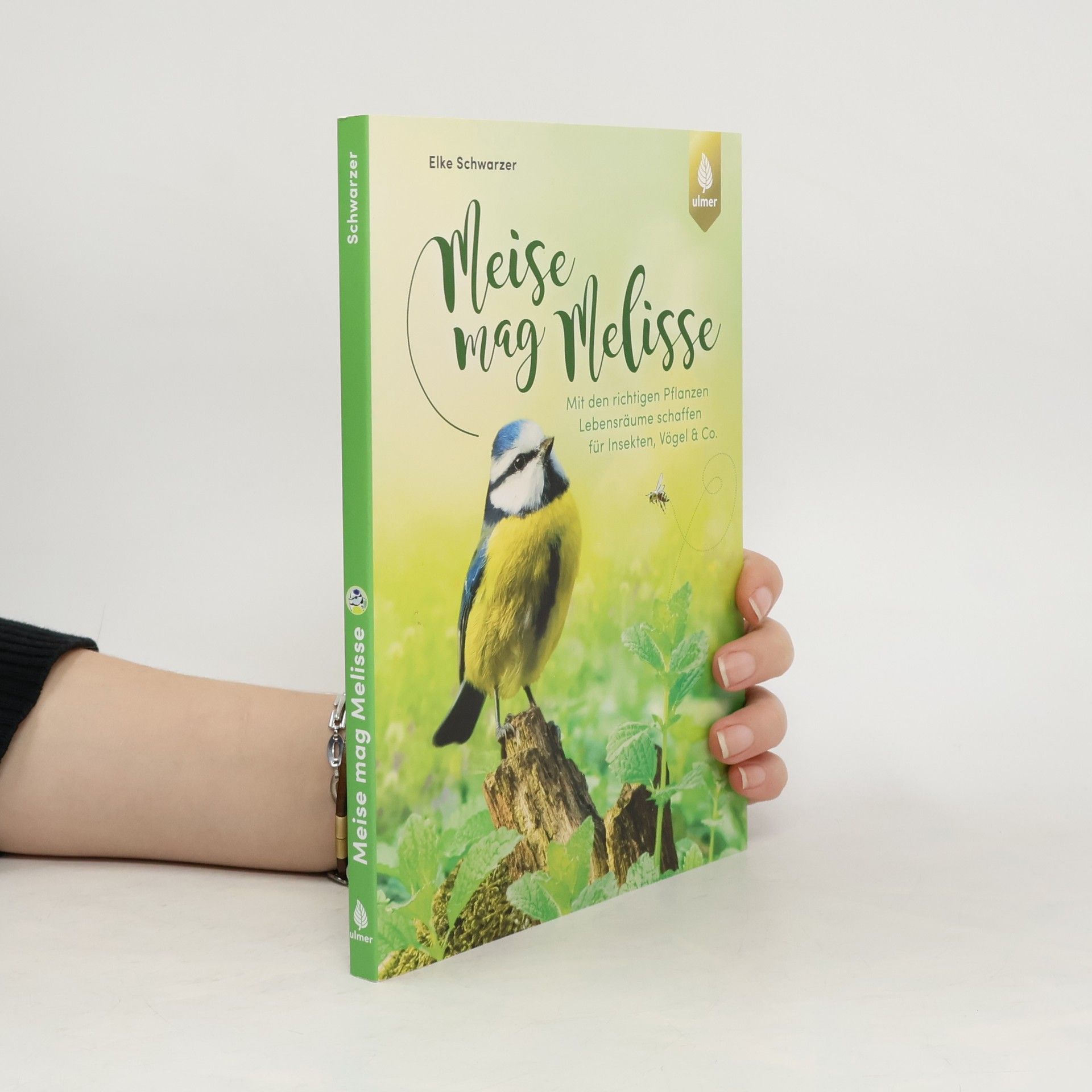 Elke Schwarzer Meise mag Melisse