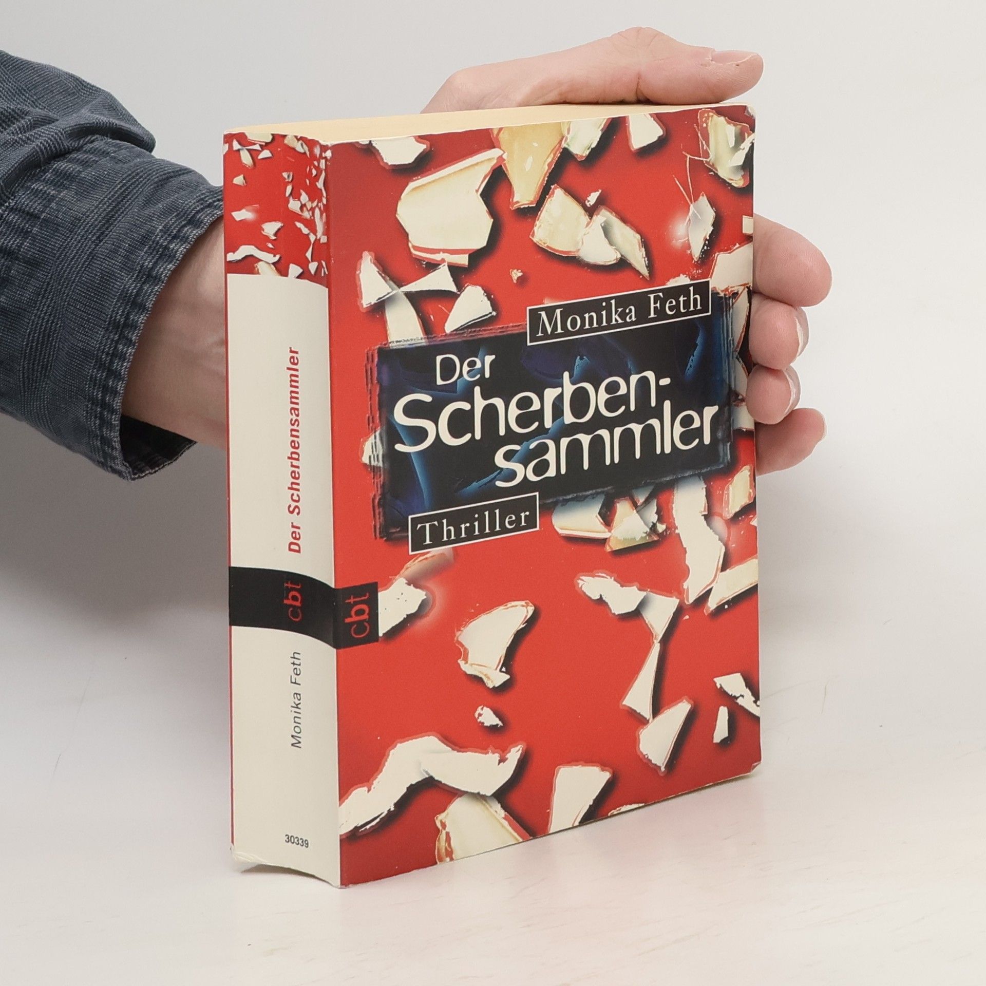 Monika Feth Der Scherbensammler