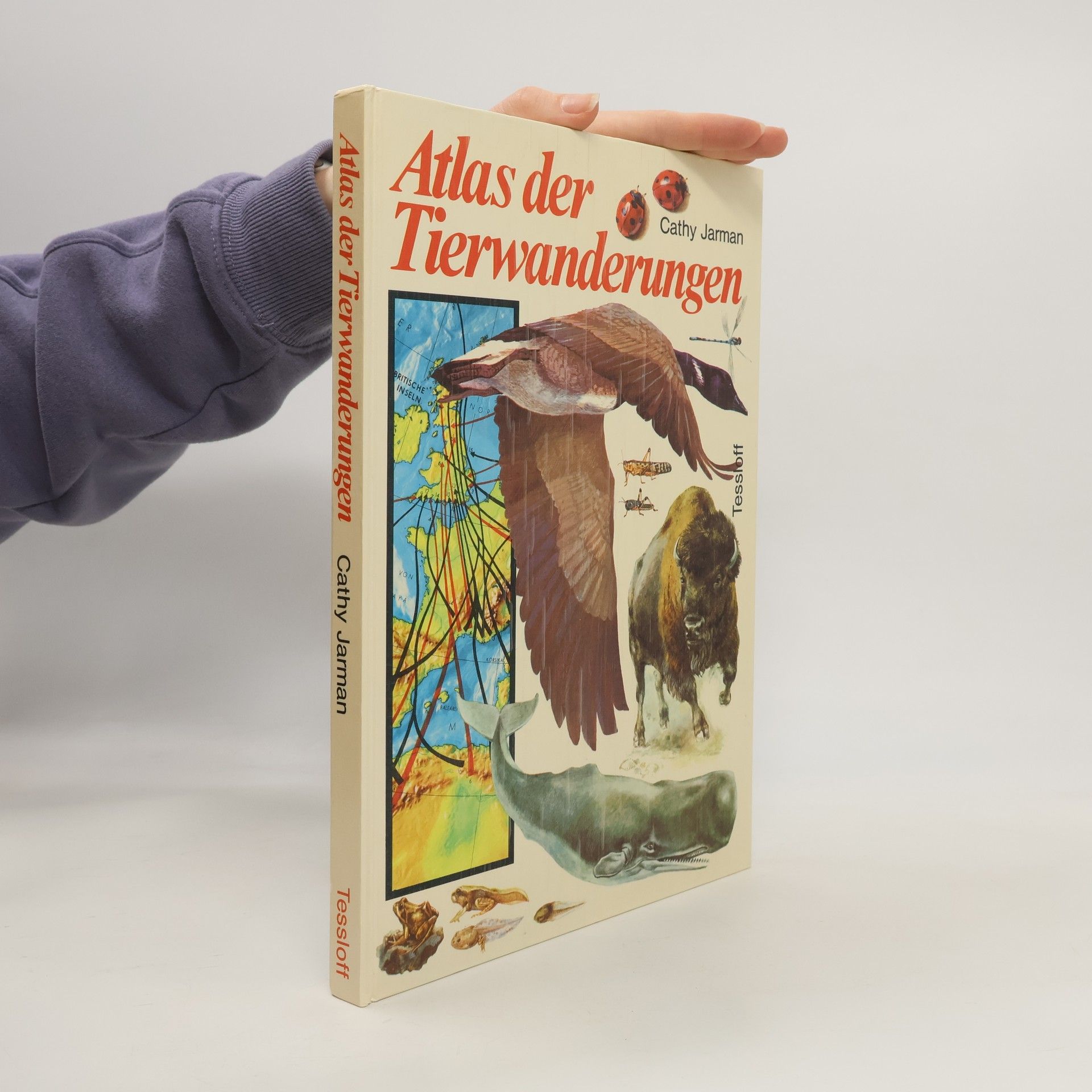 Catherine Jarman Atlas der Tierwanderungen