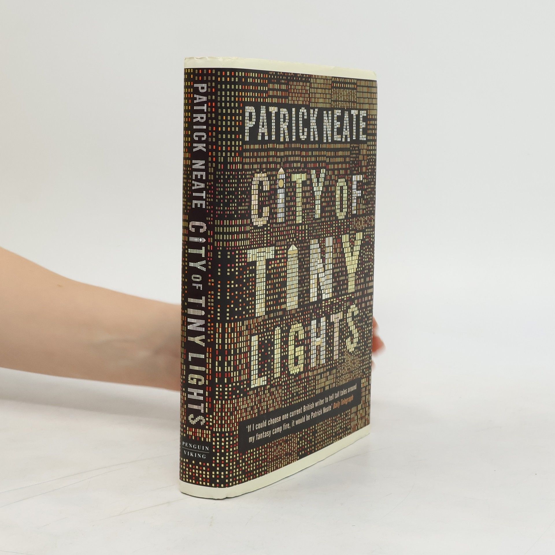 Patrick Neate City of Tiny Lights