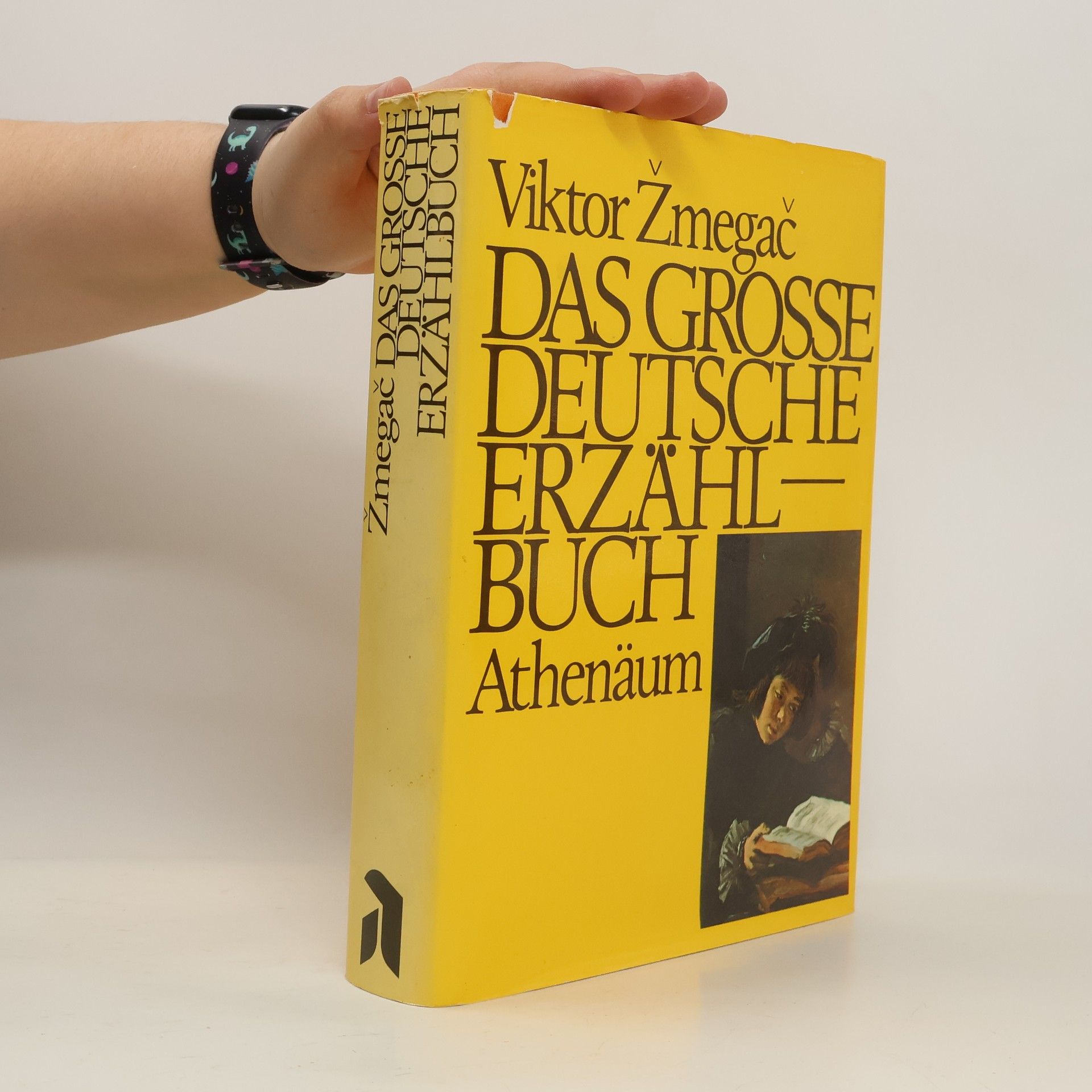 Viktor Žmegač Das grosse deutsche Erzählbuch