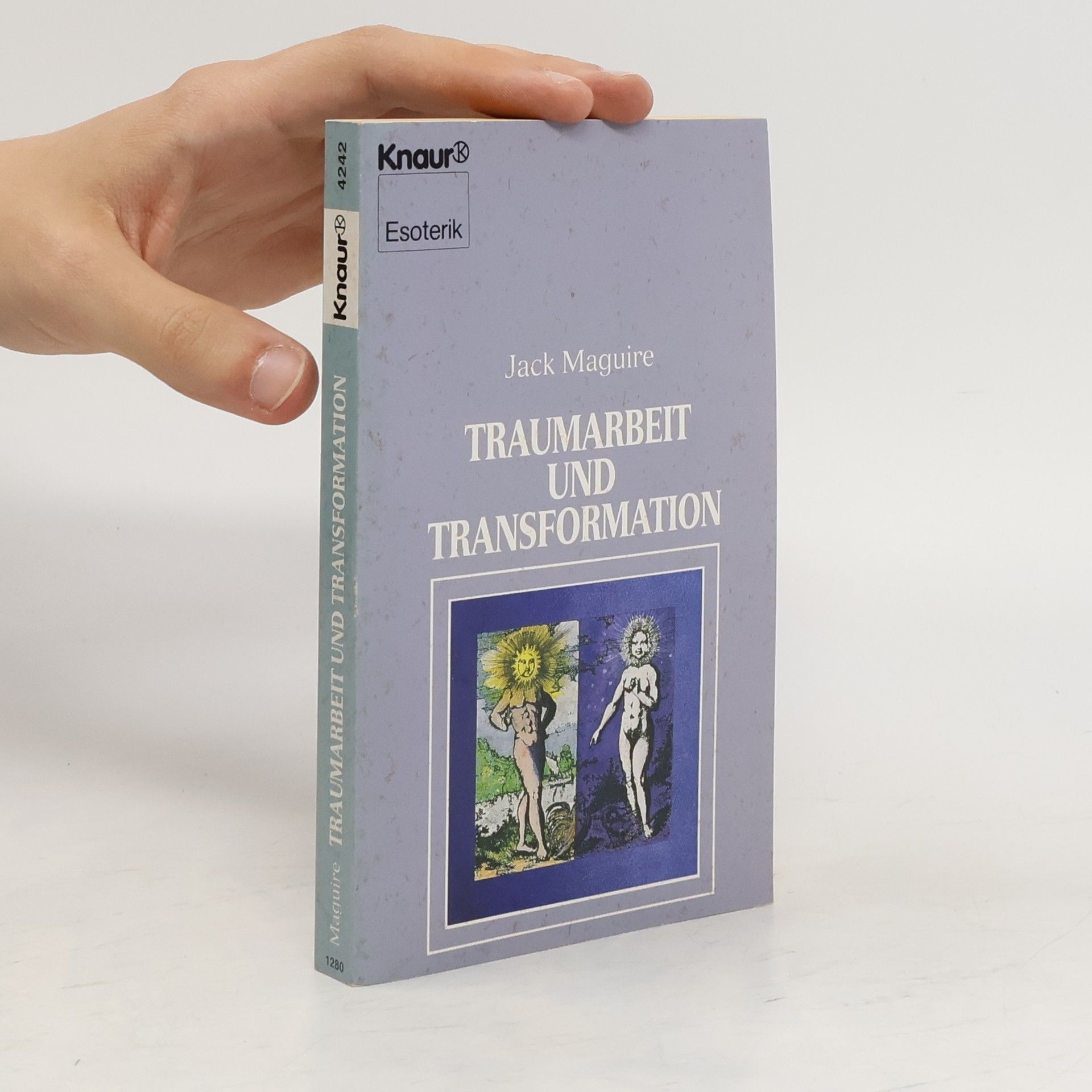 Jack Maguire Traumarbeit und Transformation