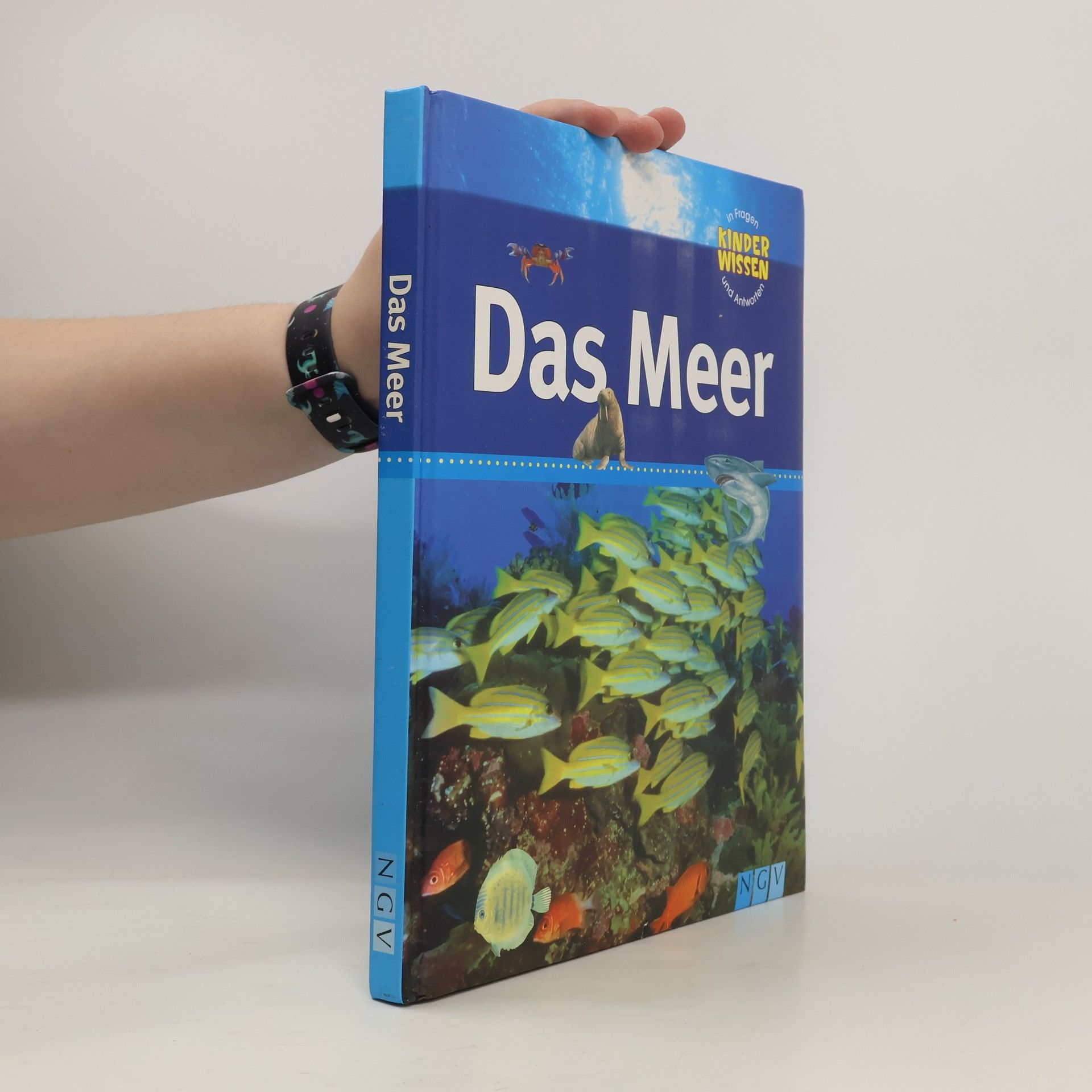 kolektiv Das Meer