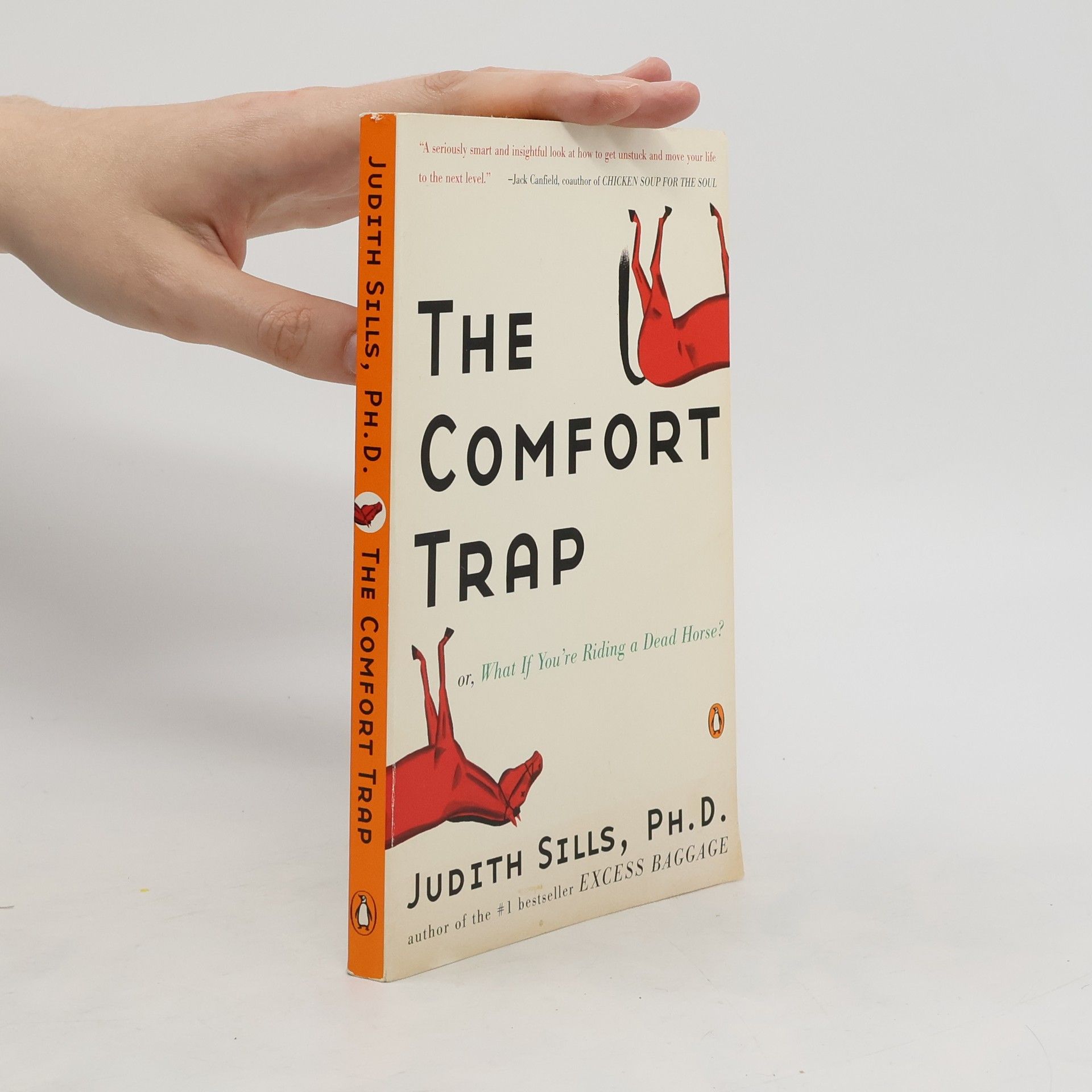 Judith Sills The Comfort Trap