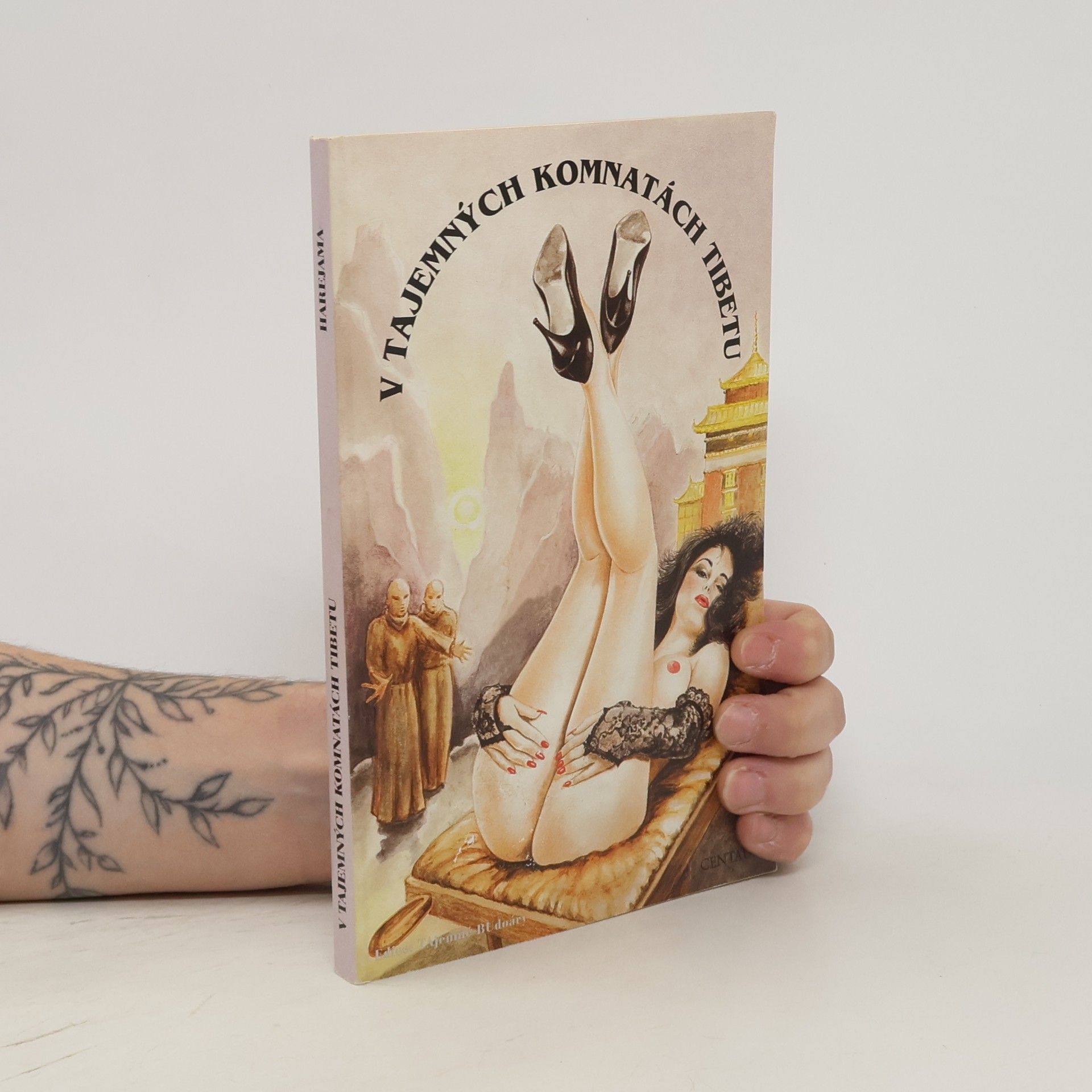 Auteurscollectief V tajemných komnatách Tibetu