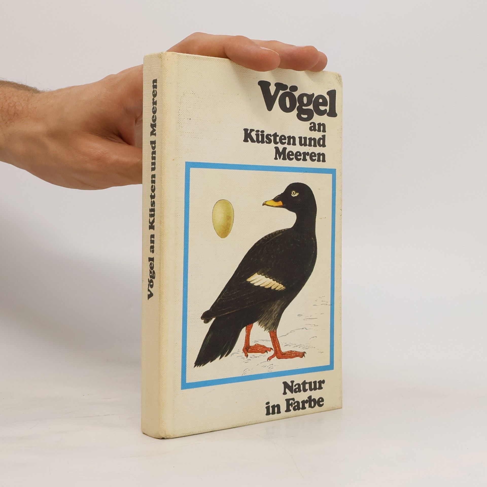 Jiří Felix Vögel an Küsten und Meeren