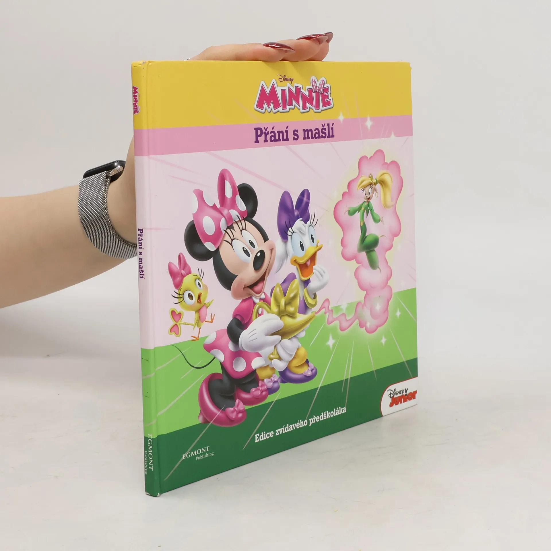 Minnie - Přání s mašlí | Kniha | pevná | Walt Disney | CS