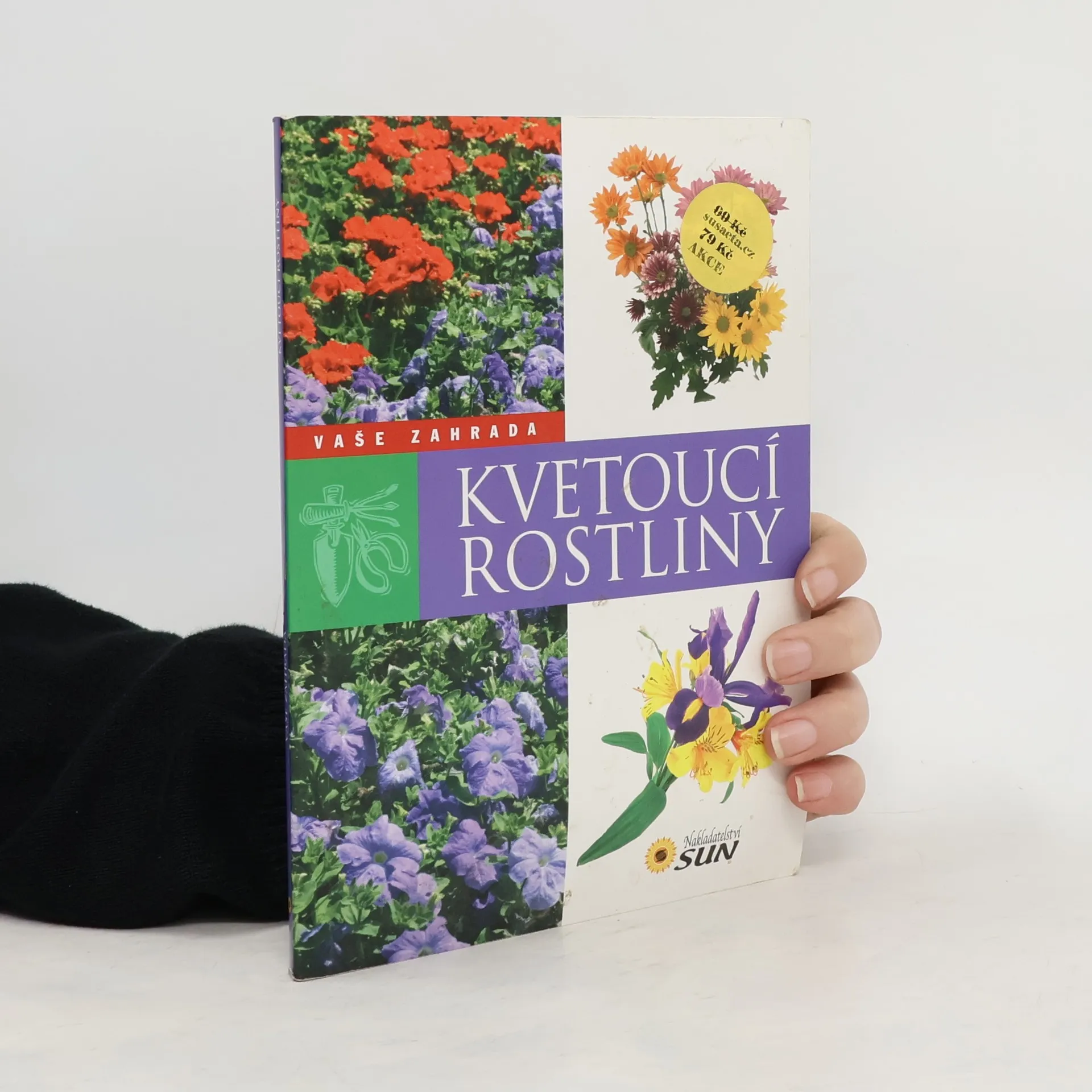 Kvetoucí rostliny | Kniha | Francisco Javier Alonso de la Paz | CS