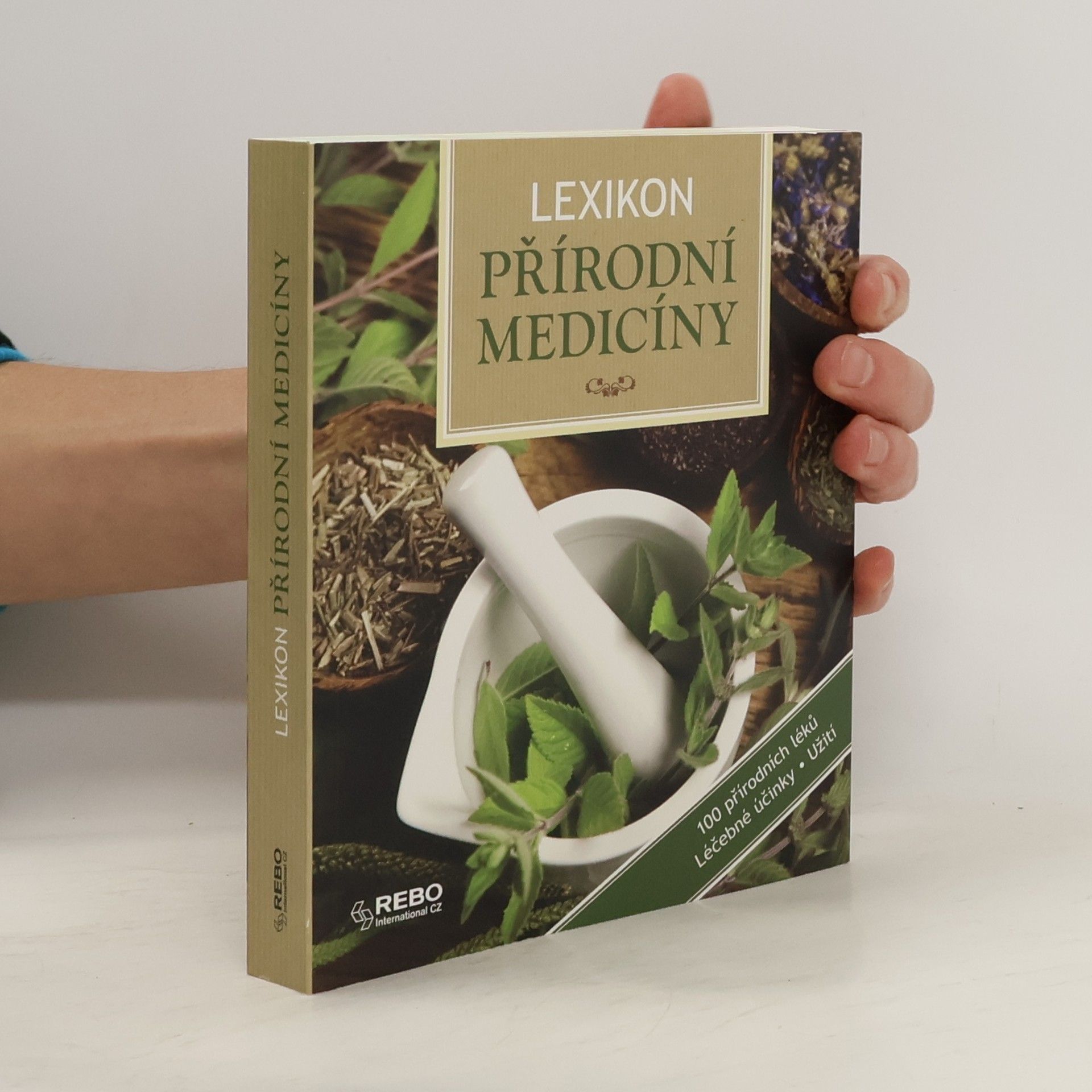 Anne Iburg Lexikon přírodní medicíny