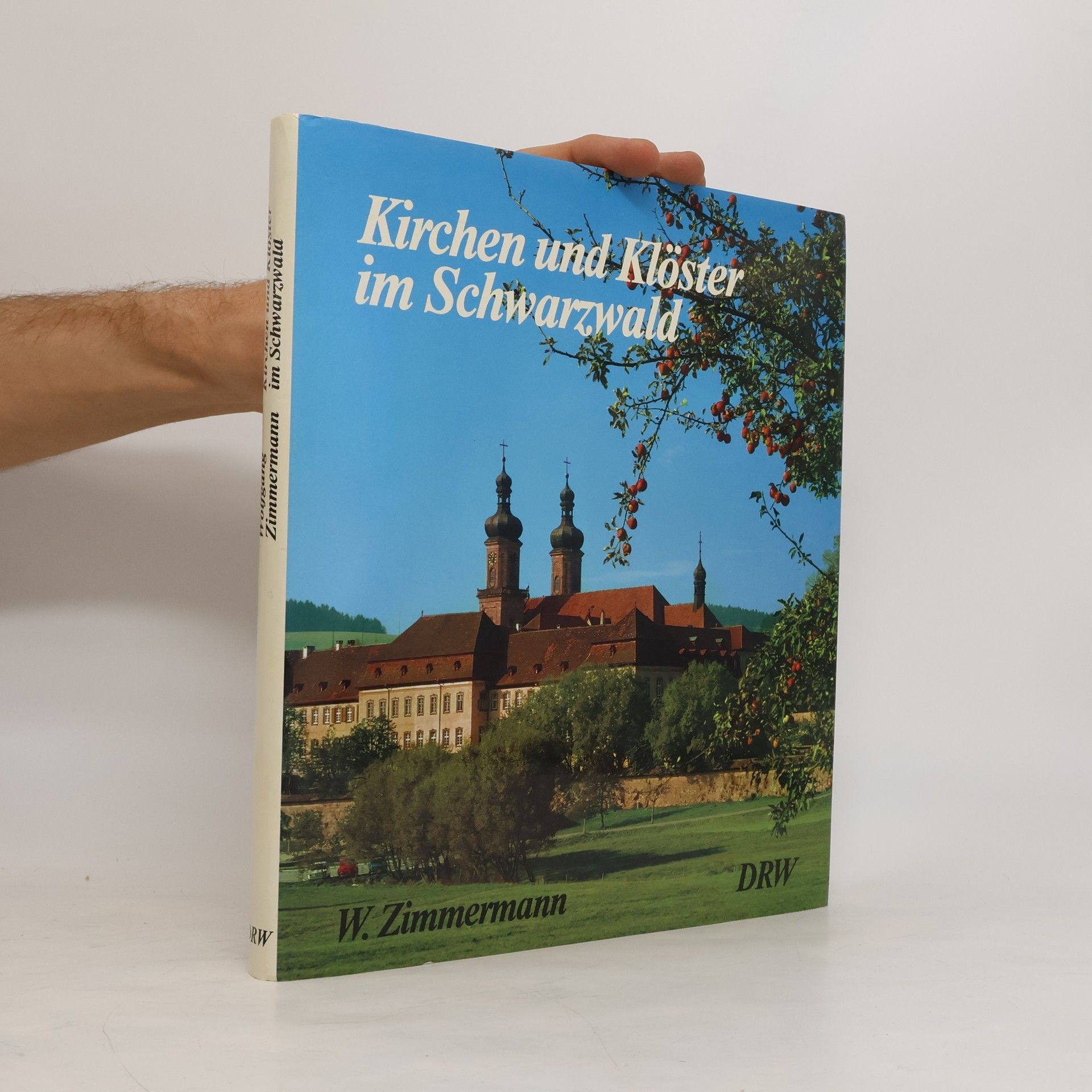 Wolfgang Zimmermann Kirchen und Klöster im Schwarzwald