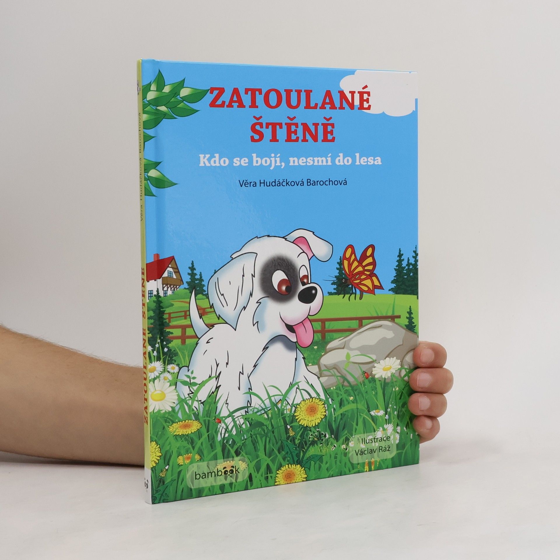 Věra Hudáčková Barochová Zatoulané štěně