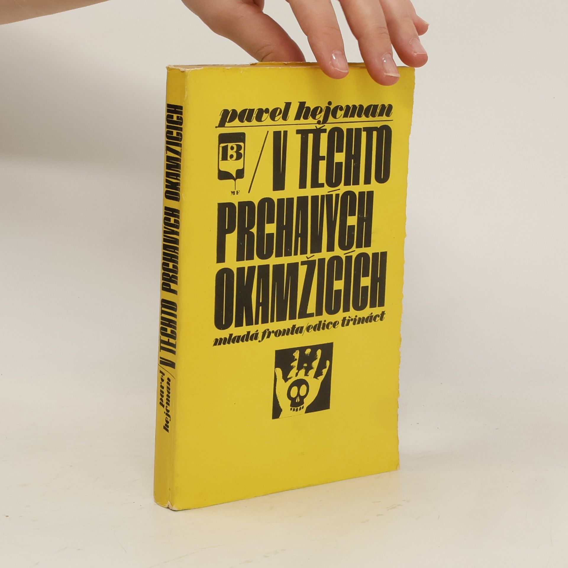 Pavel Hejcman V těchto prchavých okamžicích