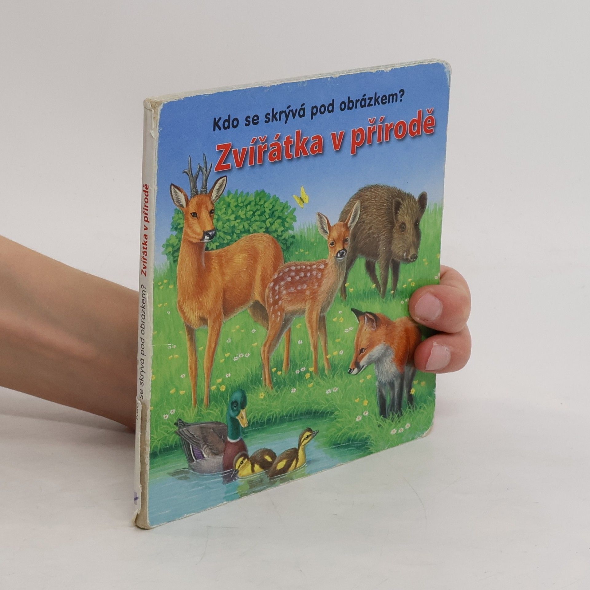 Collectif d'auteurs Zvířátka v přírodě: Kdo se skrývá pod obrázkem?