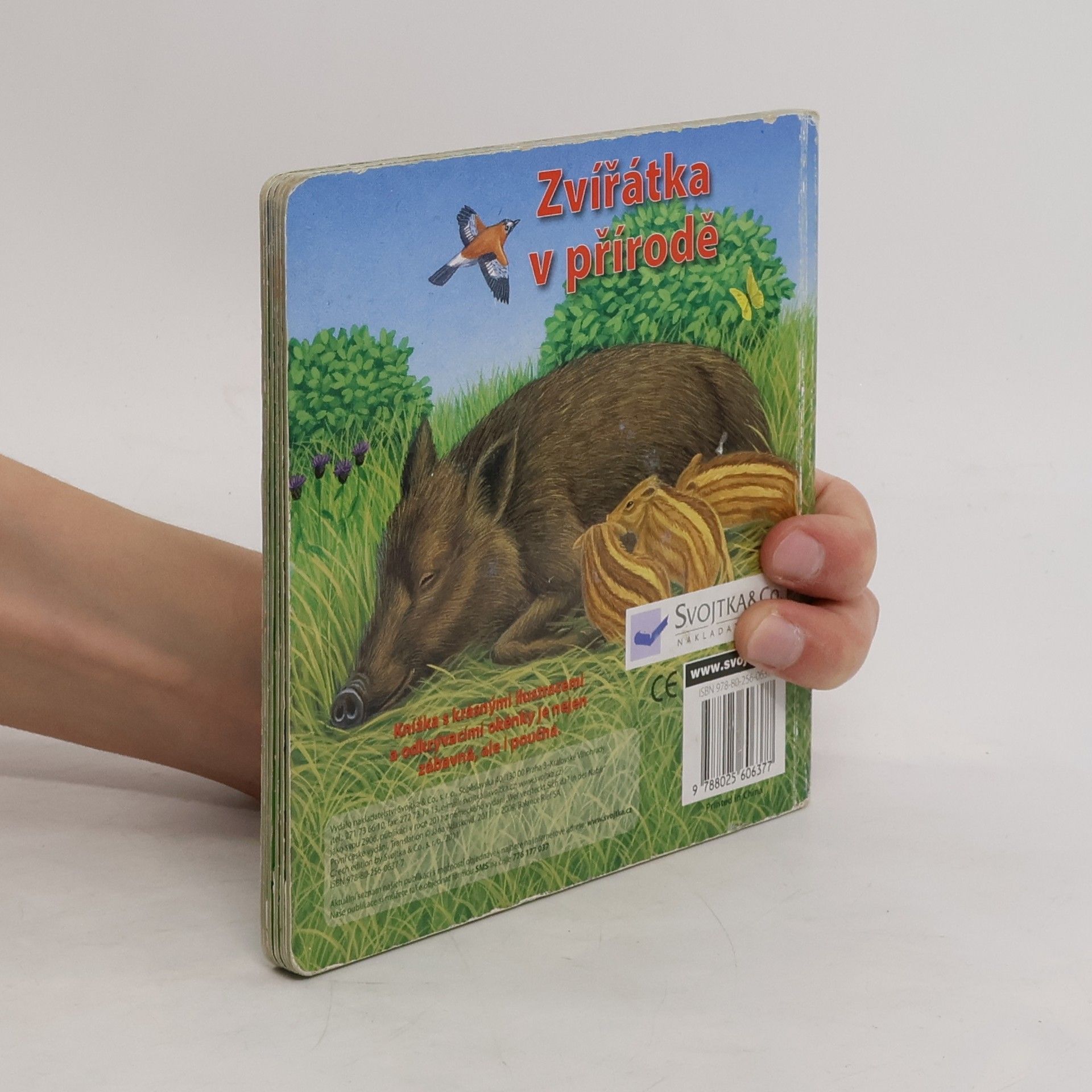 Autorenkollektiv Zvířátka v přírodě: Kdo se skrývá pod obrázkem?