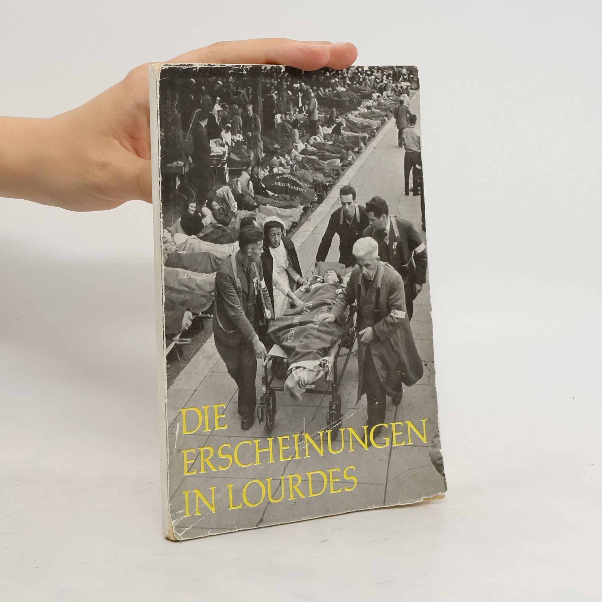 Autorenkollektiv Die Erscheinungen in Lourdes