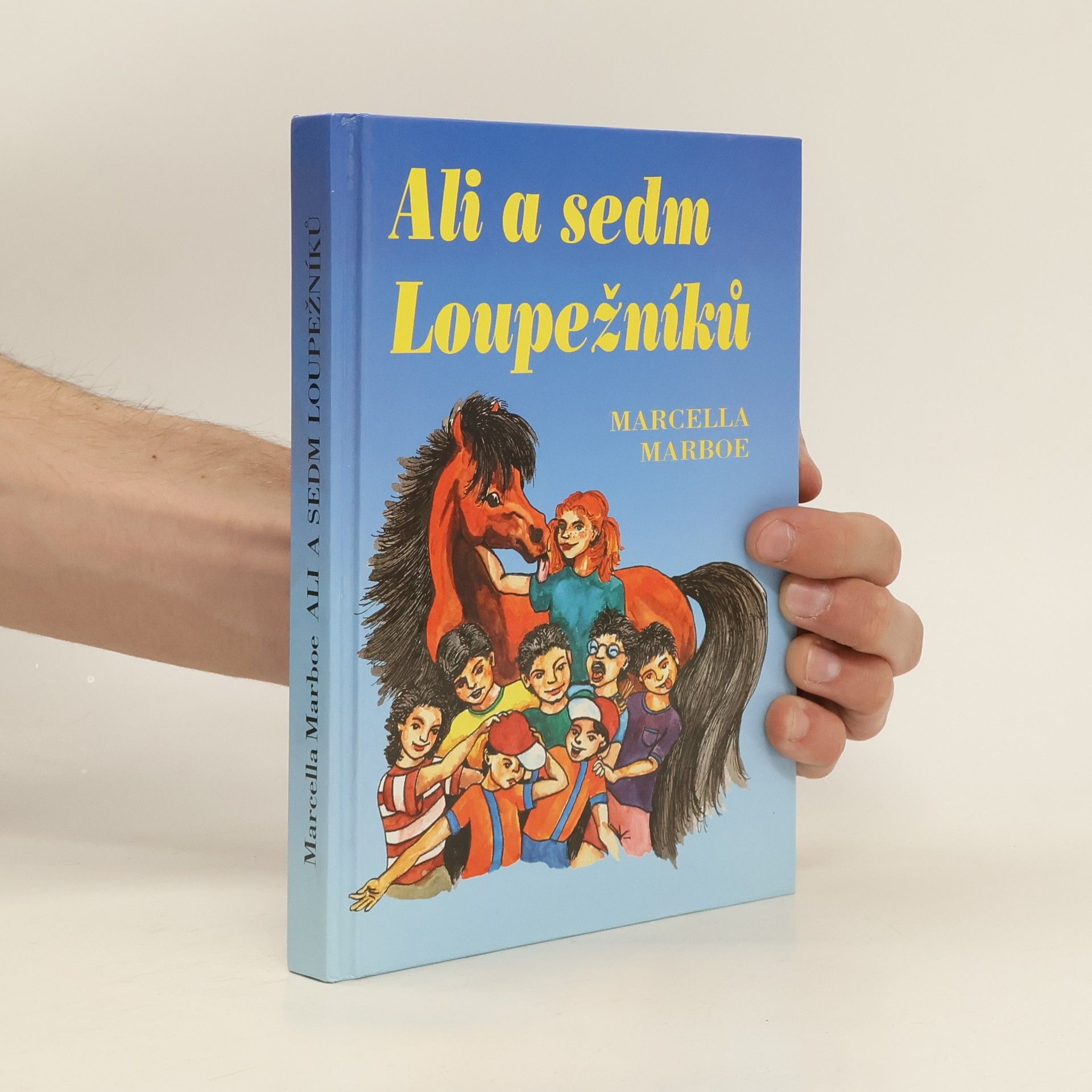 Marcella Marboe-Hrabincová Ali a sedm loupežníků