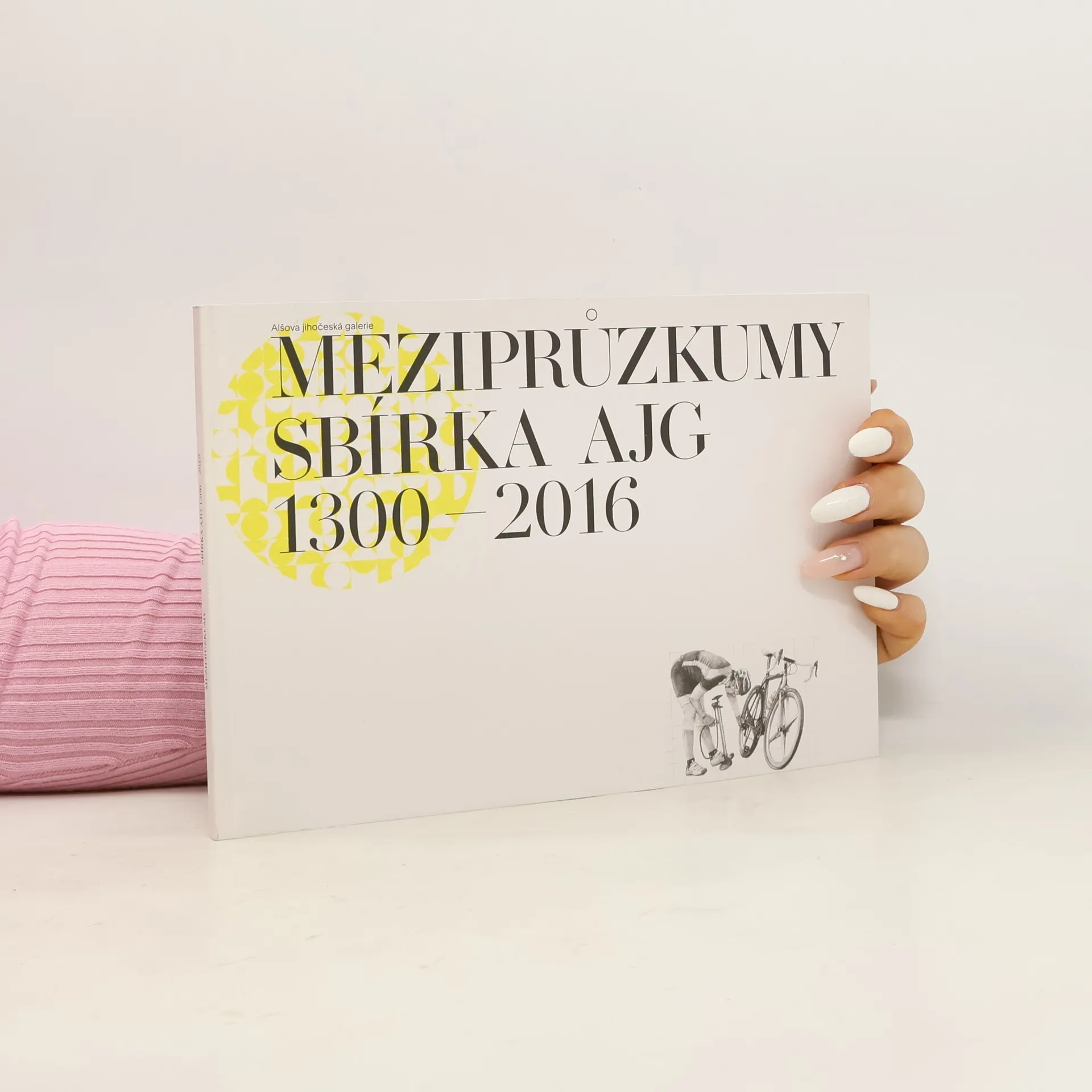 Meziprůzkumy. Sbírka AJG 1300-2016 | Book | Paperback | kolektiv | CS