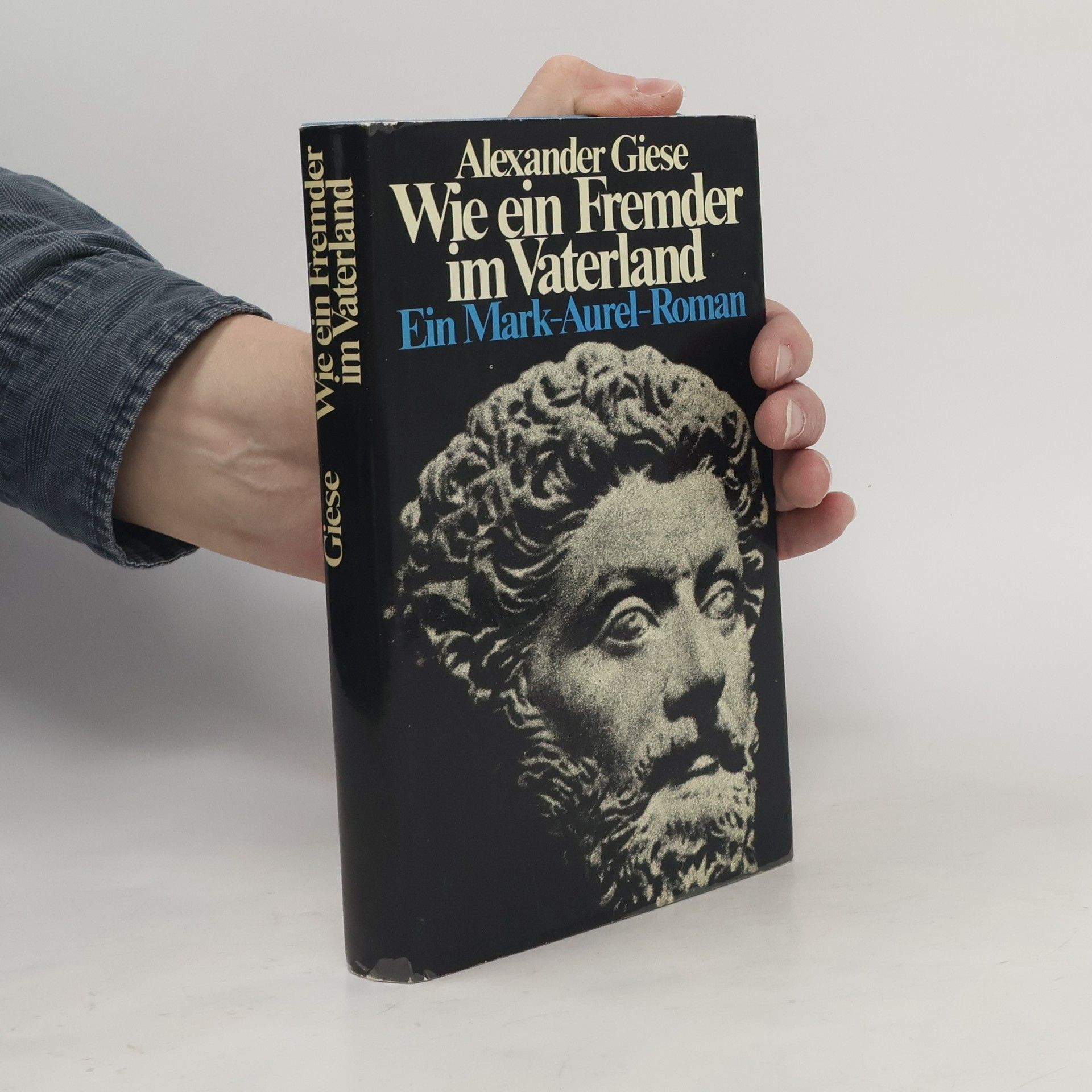 Alexander Giese Wie ein Fremder im Vaterland