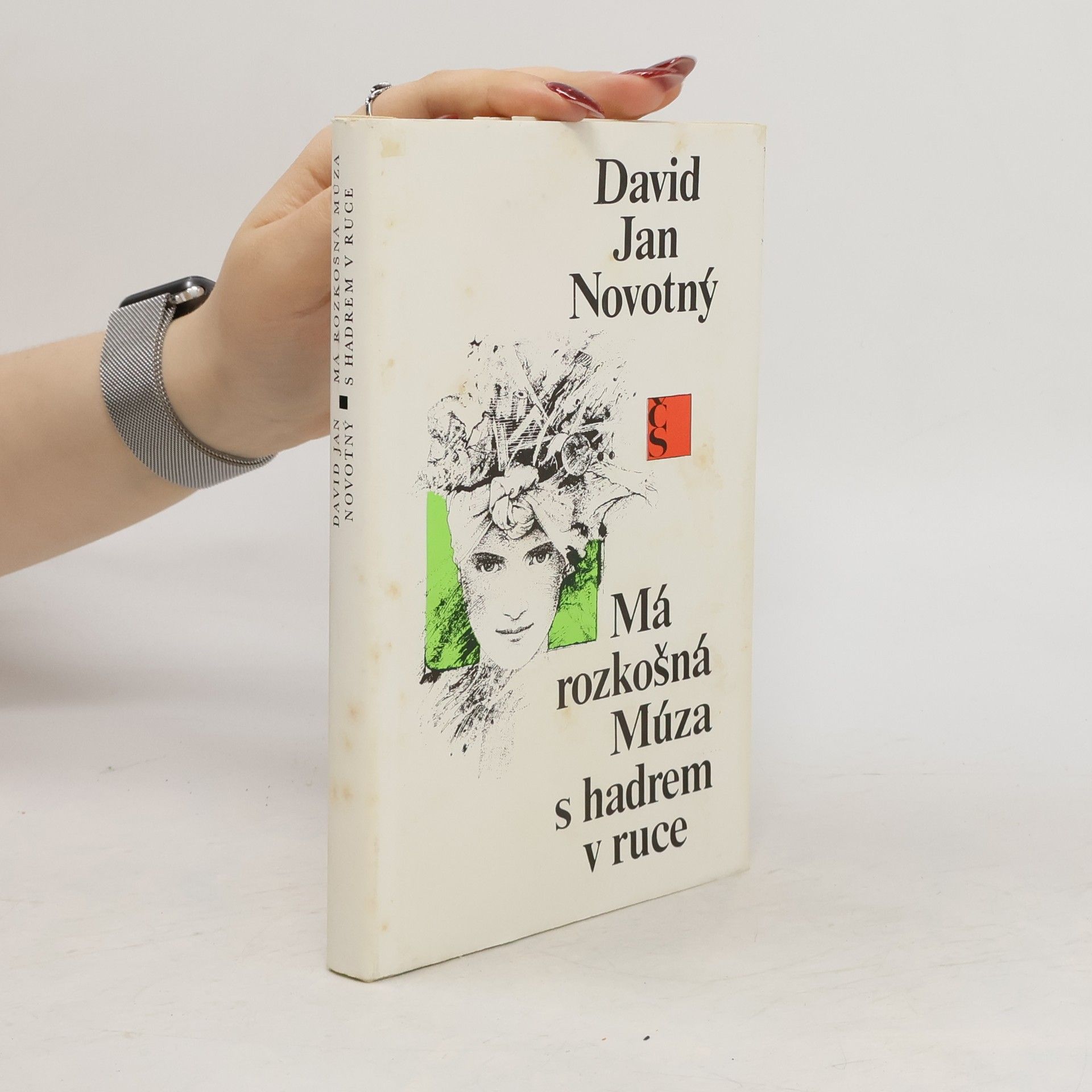 David Jan Novotný Má rozkošná Múza s hadrem v ruce