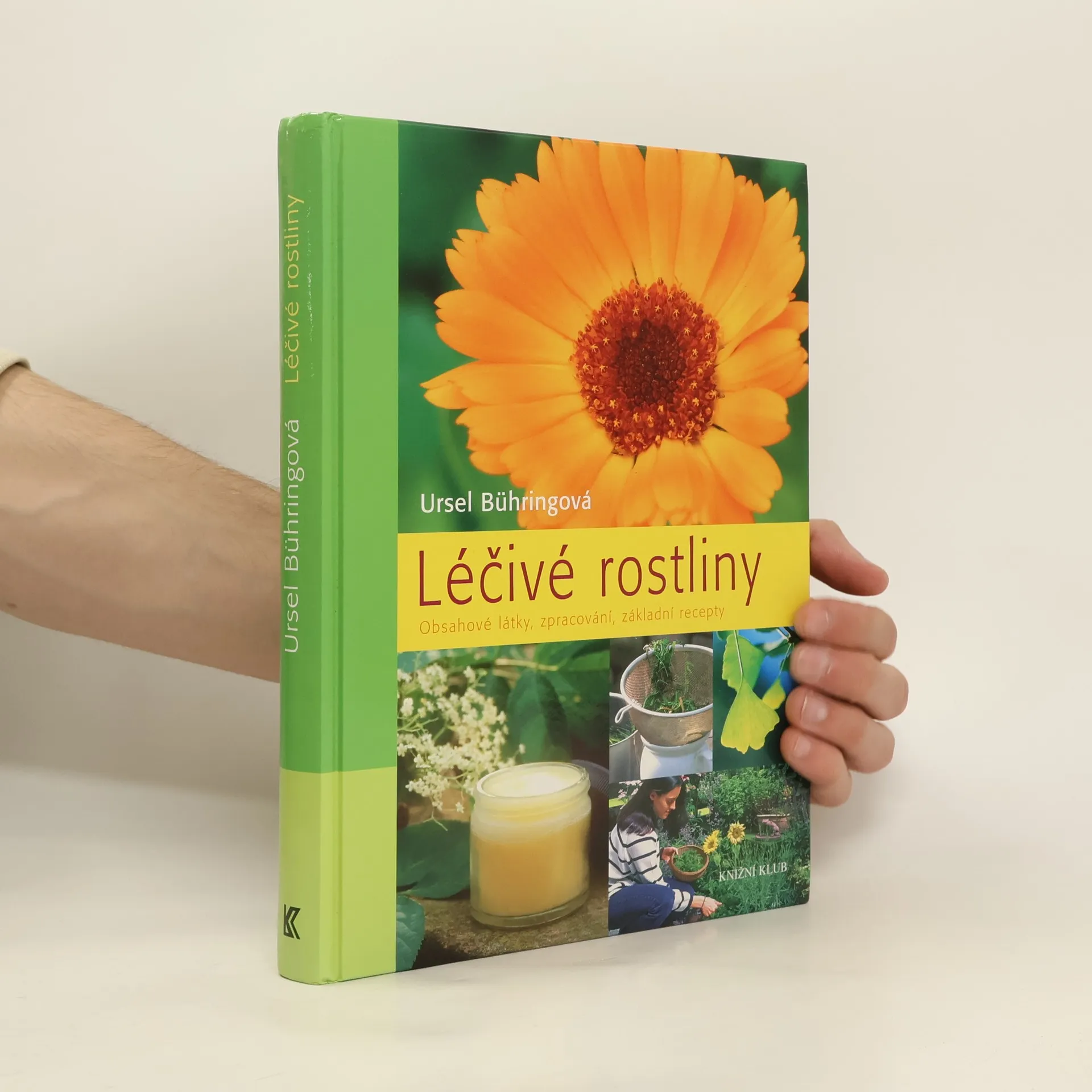 Léčivé rostliny - Obsahové látky, zpracování, základní recepty | Kniha | pevná | Ursel Bühring | CS