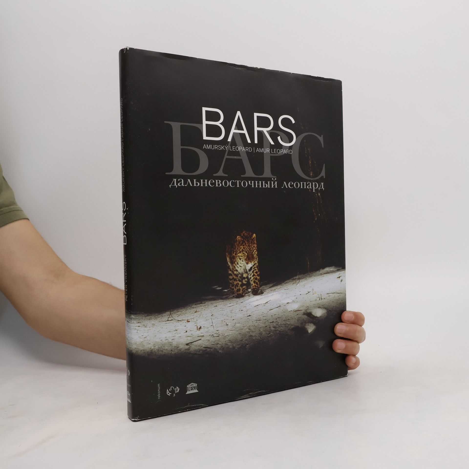 Jurij Šibniev Барс. Дальневосточный леопард / Amurský leopard / Amur leopard