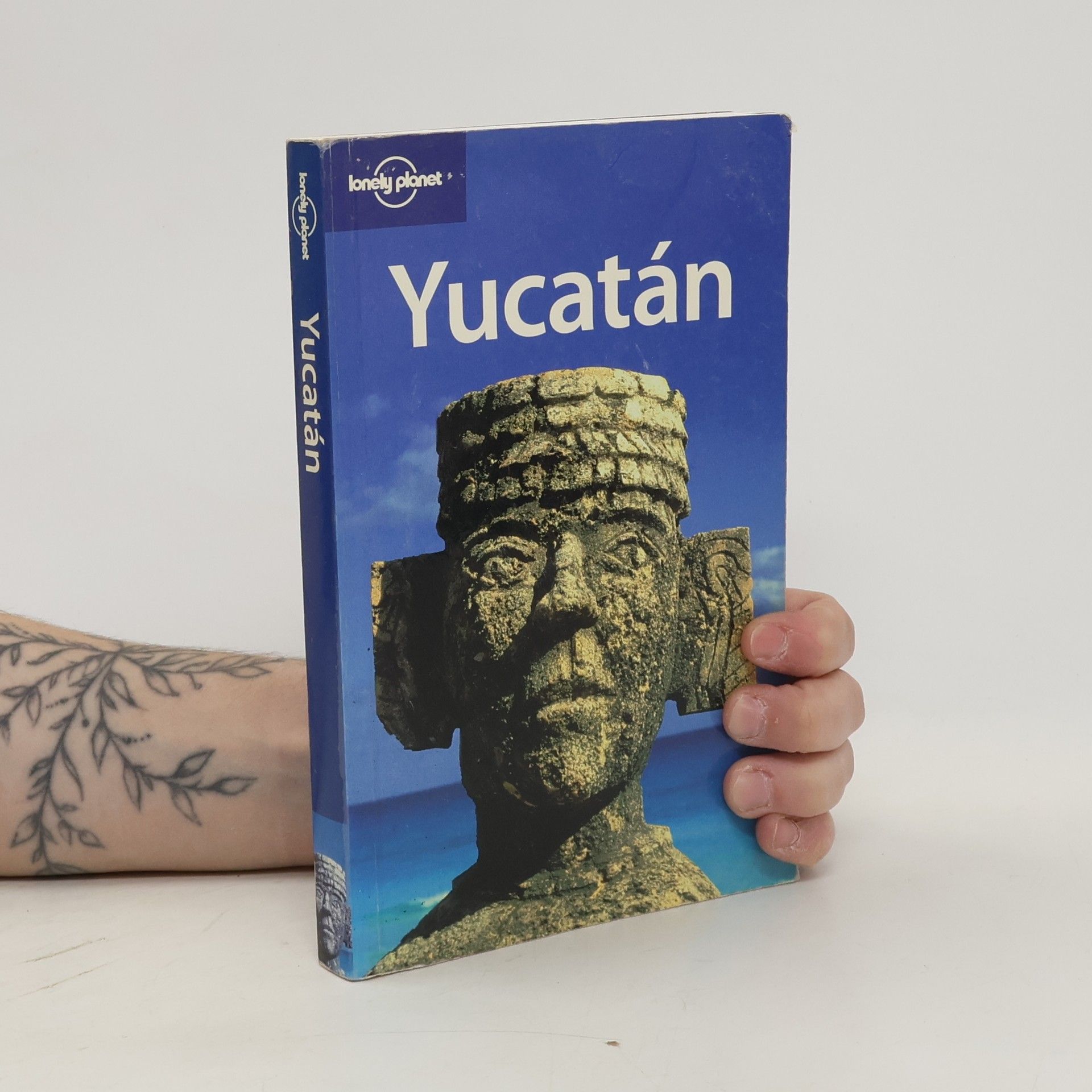 Daniel C. Schechter Yucatán.