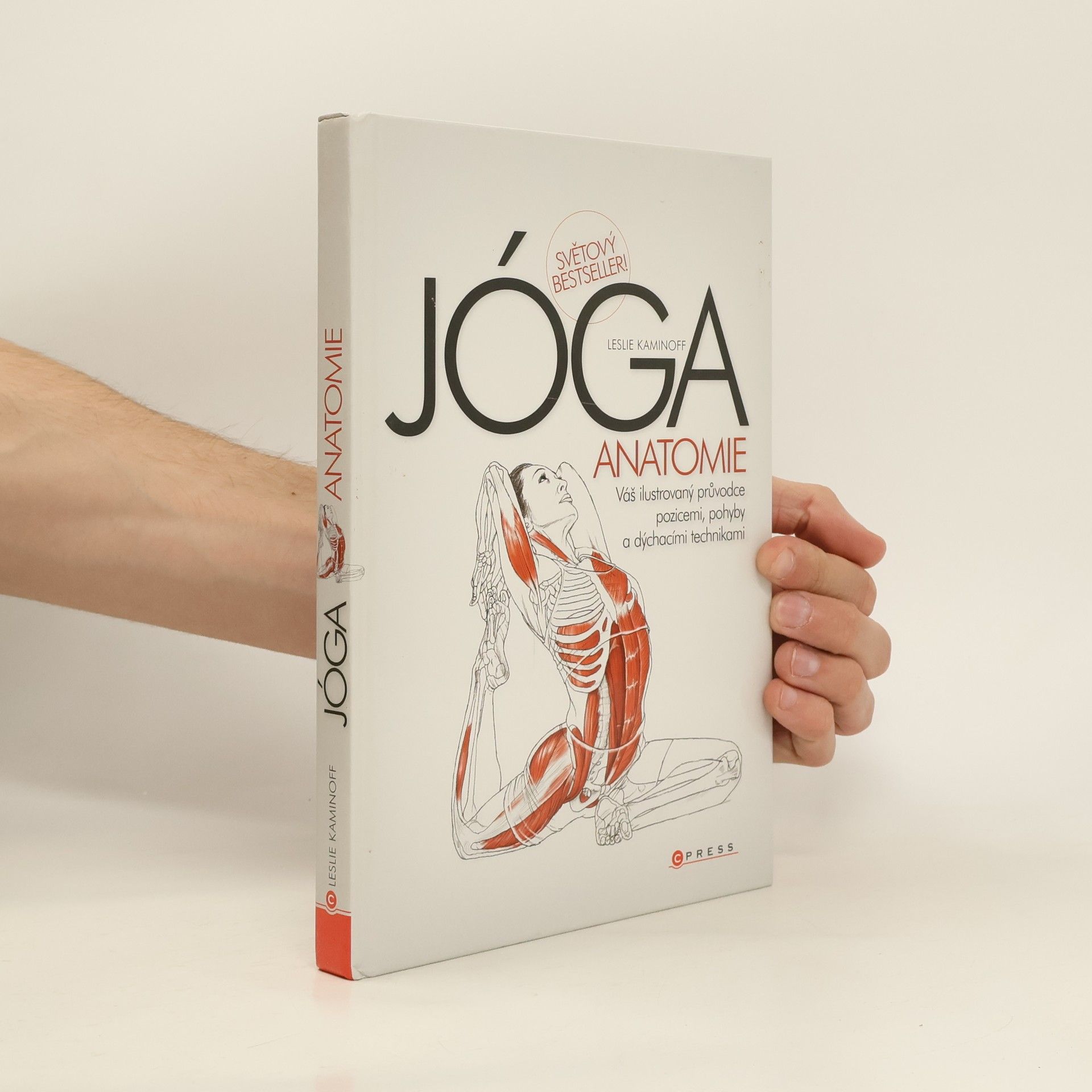 Leslie Kaminoff Jóga - anatomie