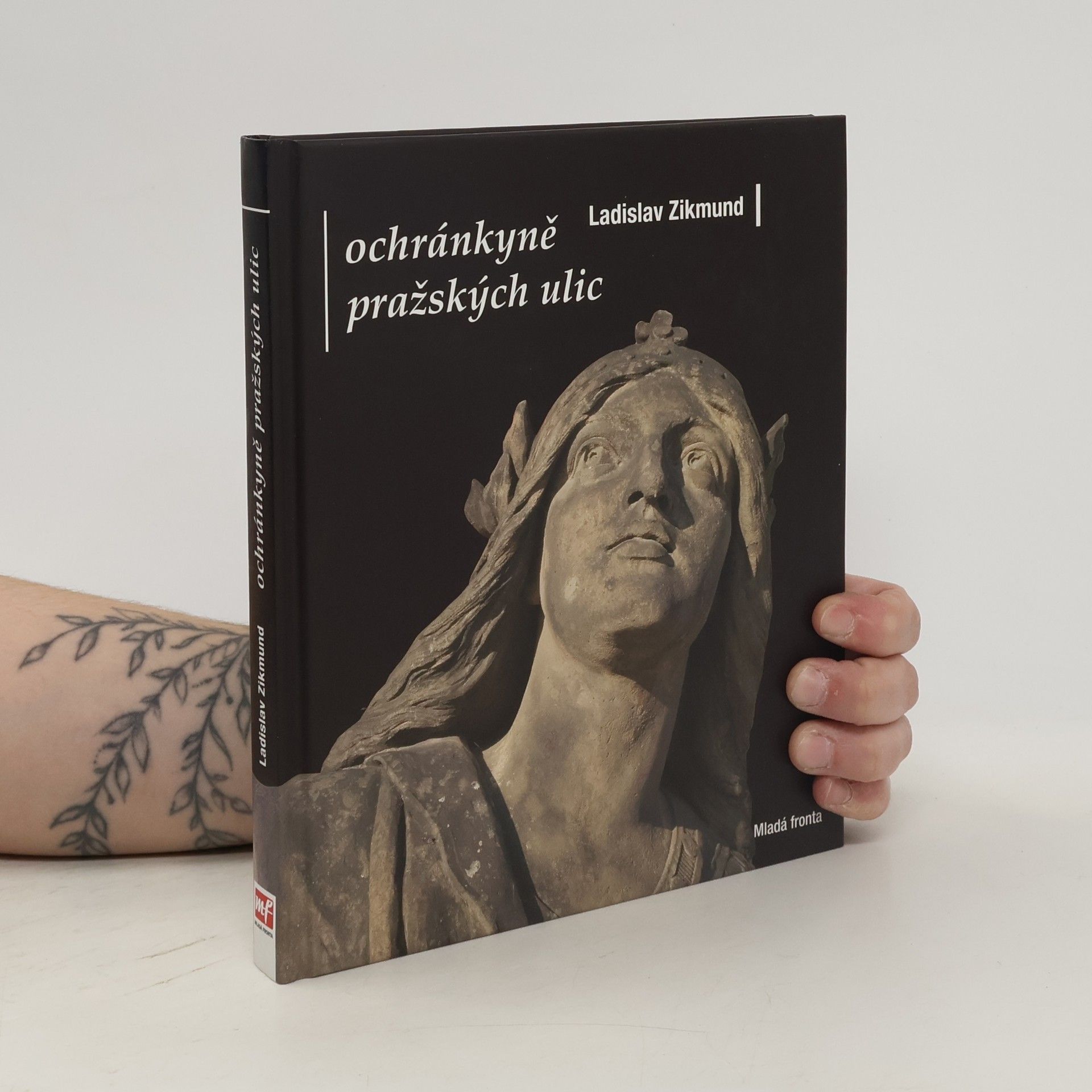 Ladislav Zikmund-Lender Ochránkyně pražských ulic