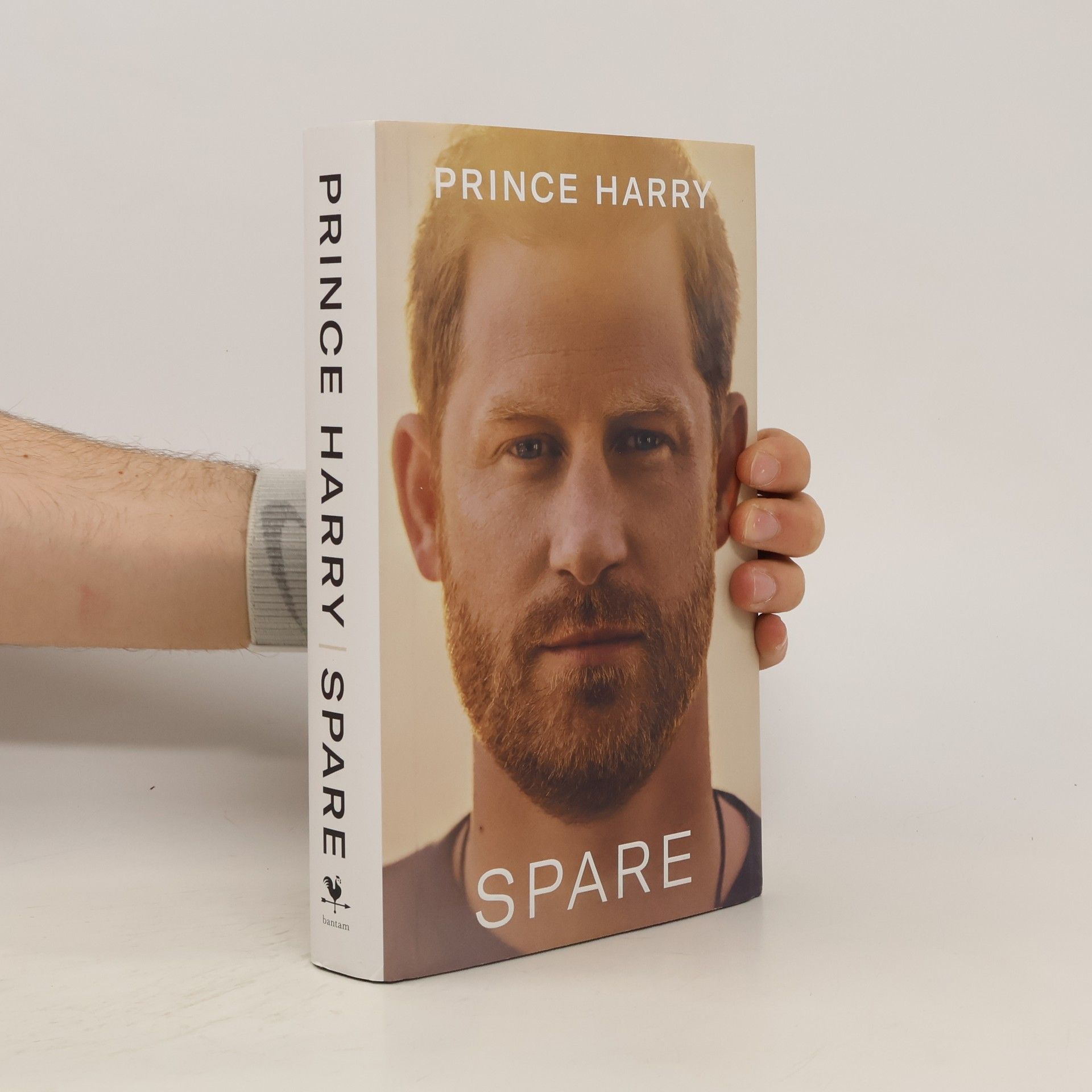Princ Harry Spare