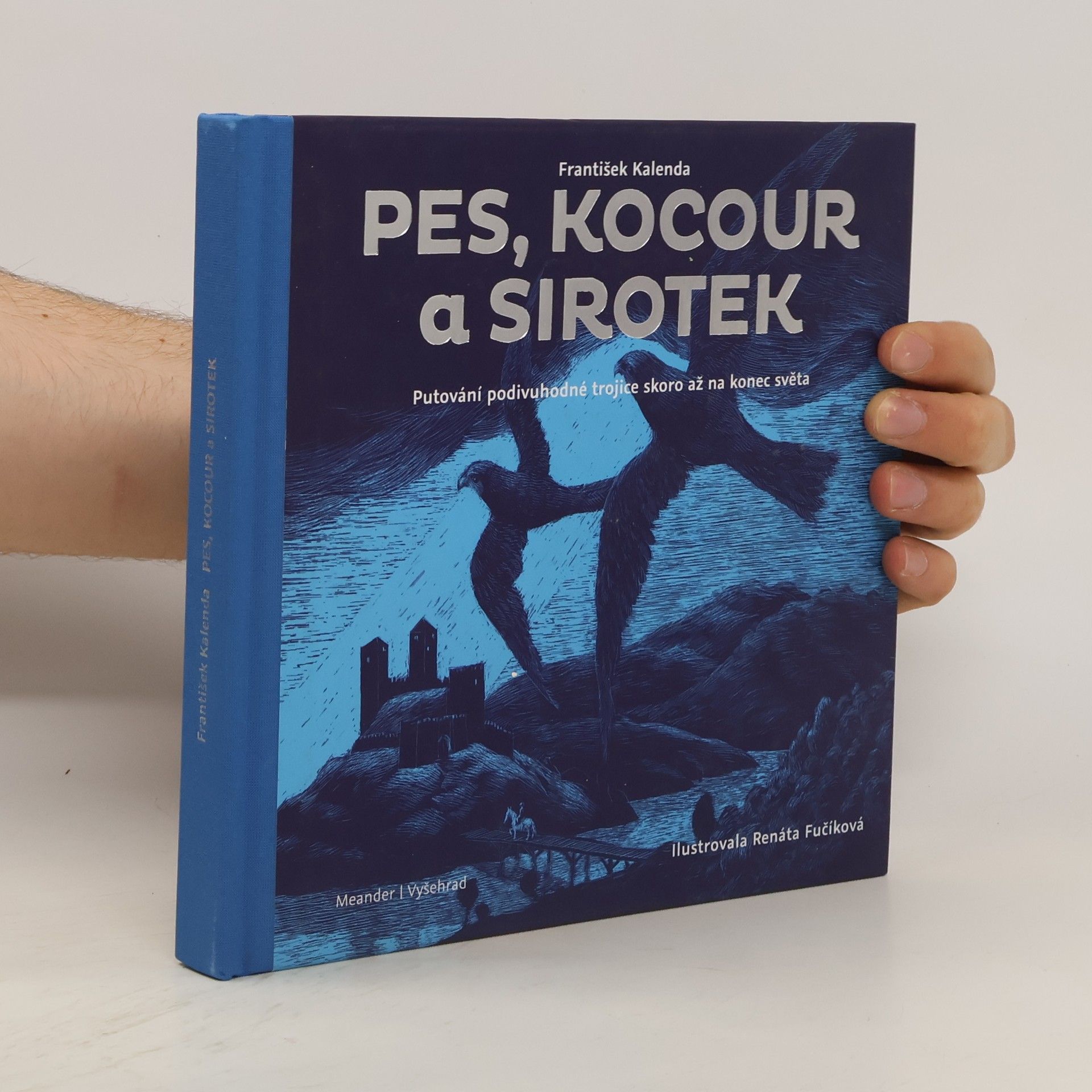 Renáta Fučíková Pes, kocour a sirotek