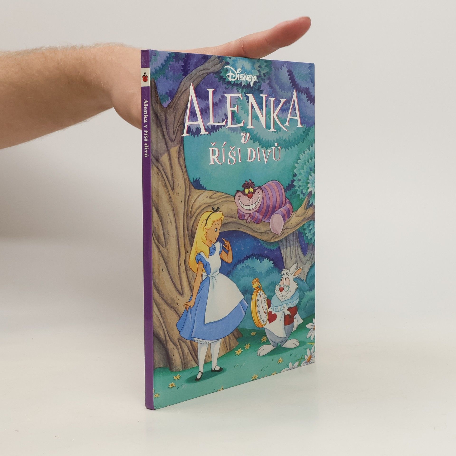 kolektiv Alenka v říši divů